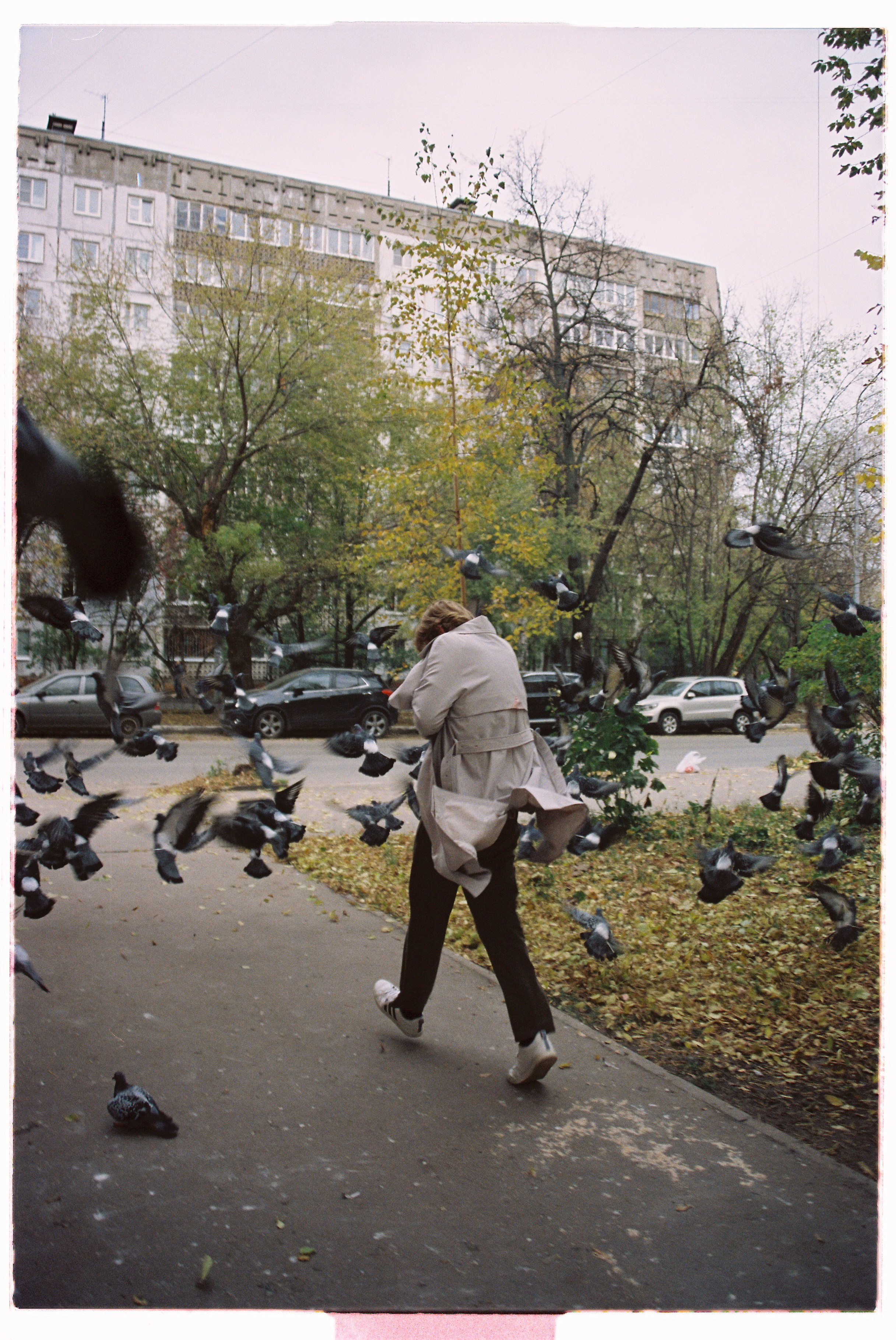 Пленка. Фотограф Синицына Анна