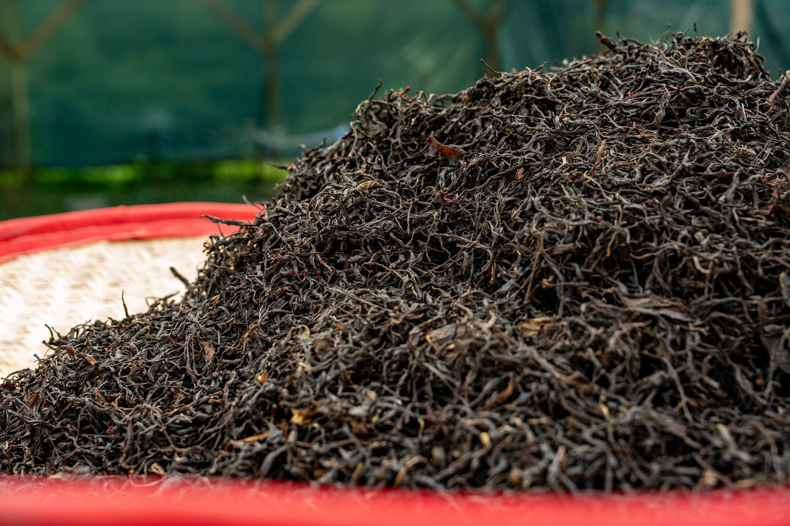 Яндекс.Еда — Сочинский чай. Репортажный фотограф в Красной Поляне и Сочи Павлюченко Екатерина