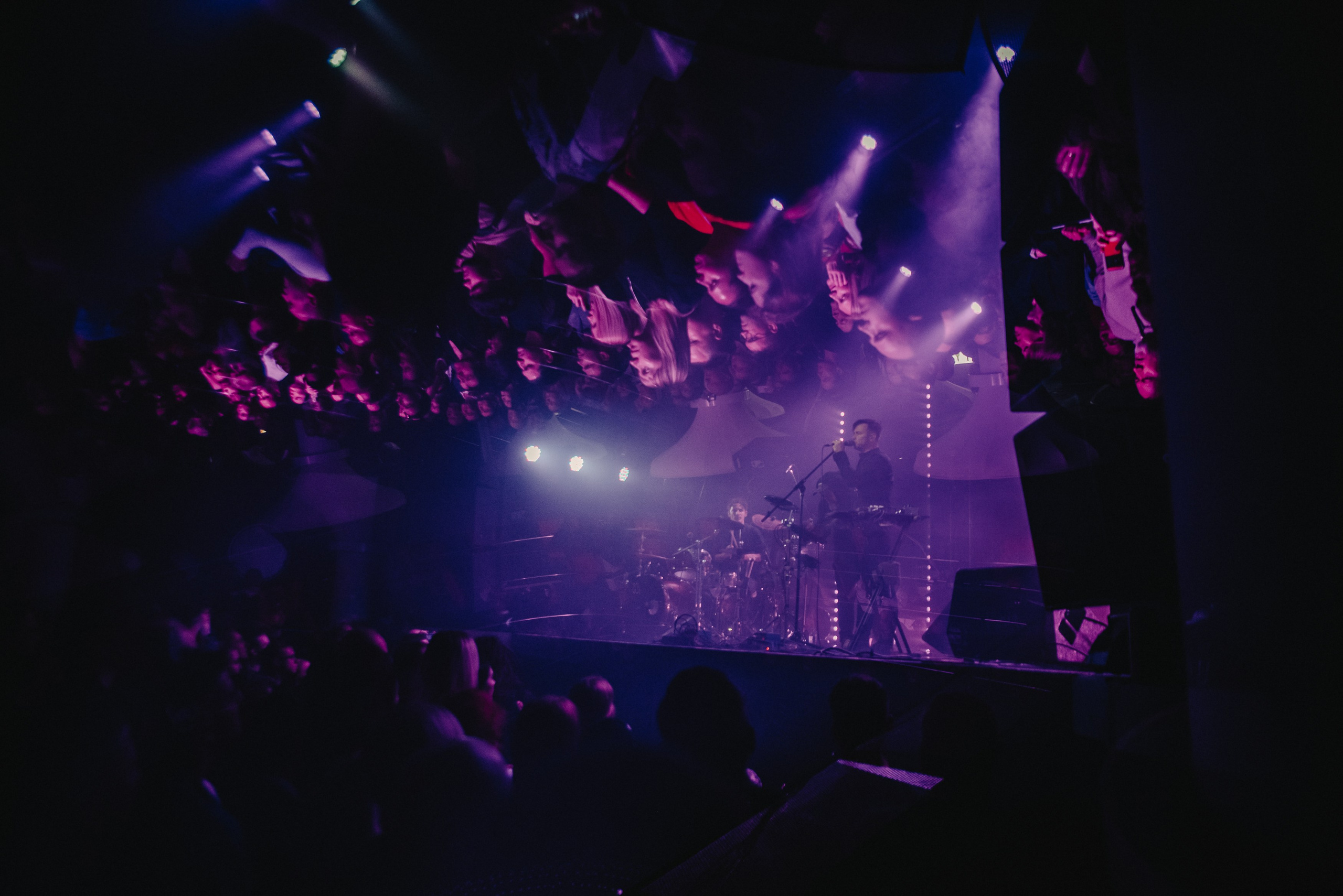 Дельфин | Gaudi. Контент фотограф Илья Урс