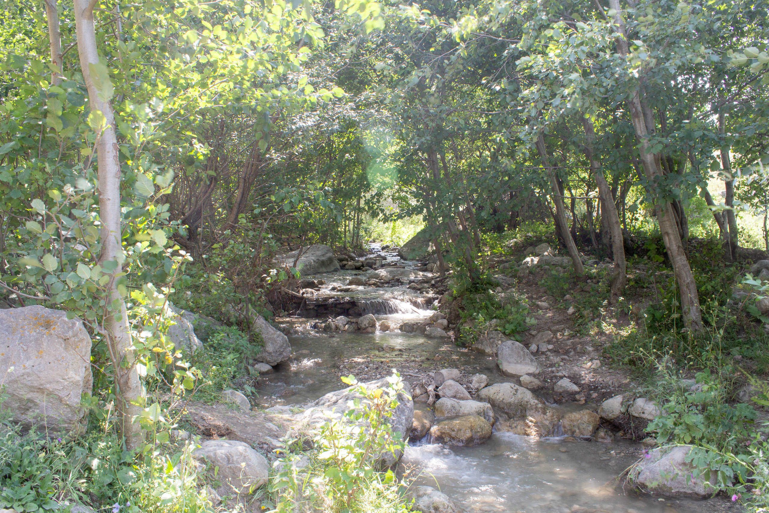 Ингушетия. Михаил Дёгтев - фотограф