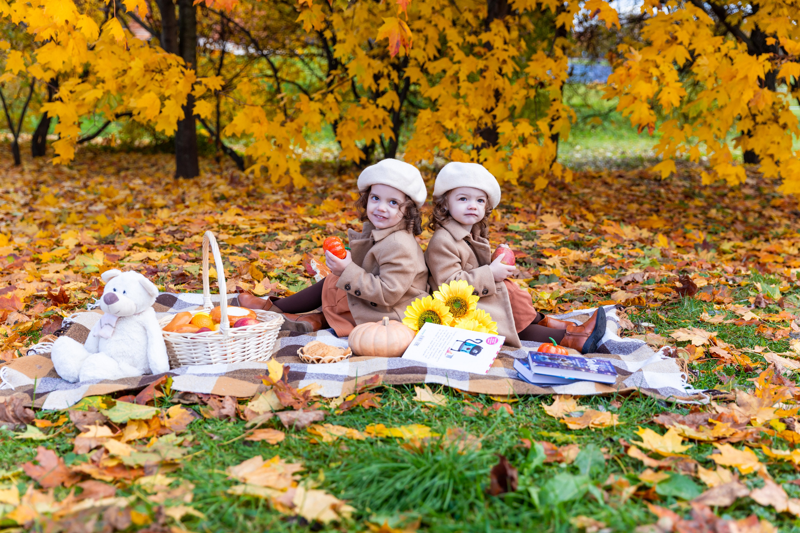 Осень в парке. Фотограф и Видеограф в Москве Дарья Арсентьева