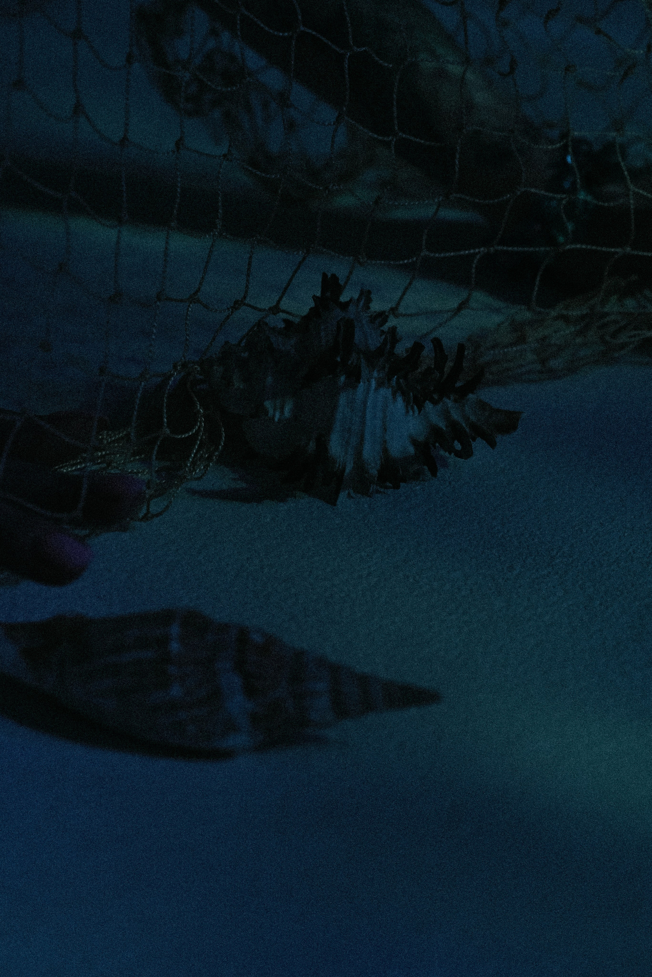 Ariel. Ваш фотограф