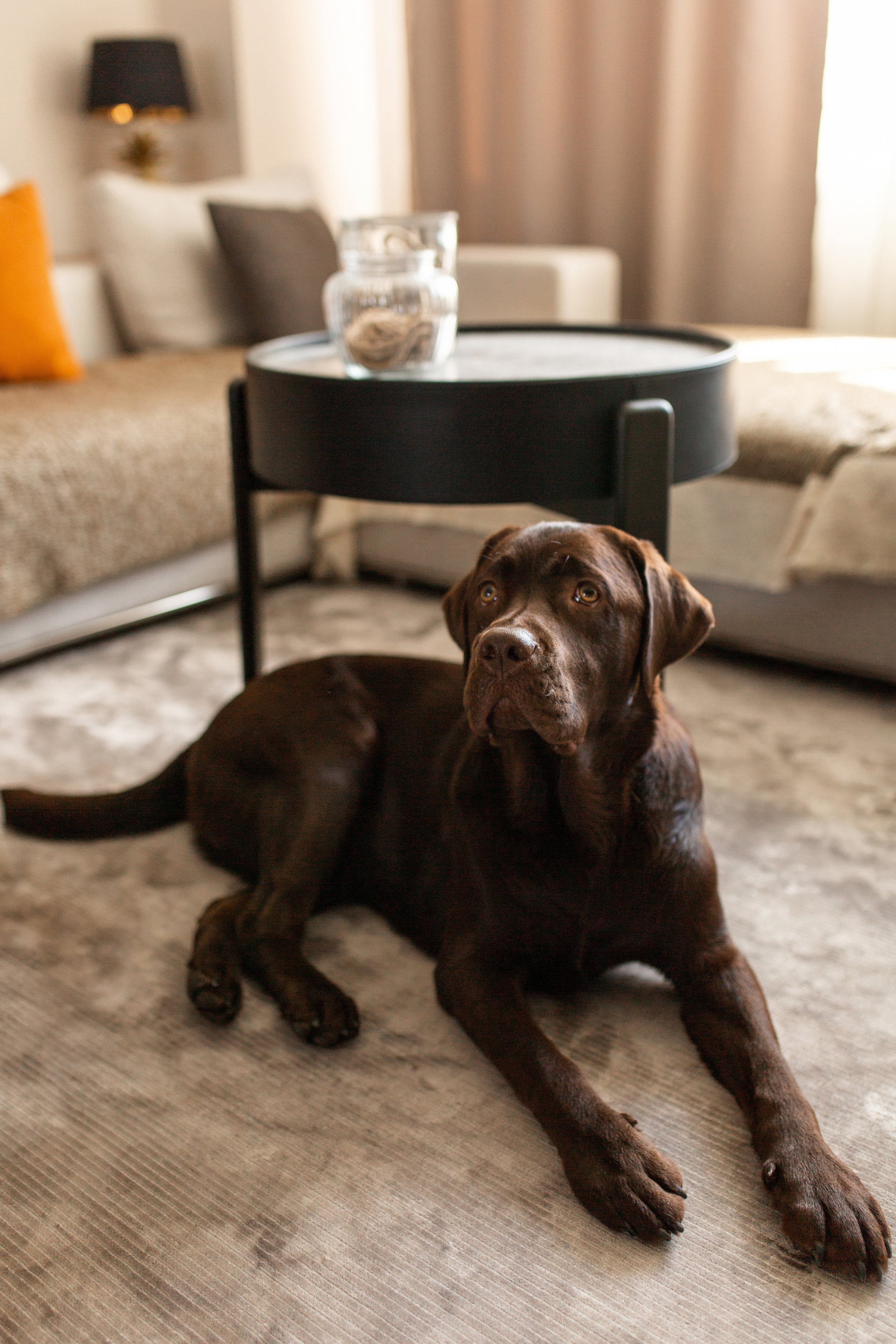 Милена и Чингиз. Домашняя серия. Семейный фотограф в Каневской Епифанова Ольга