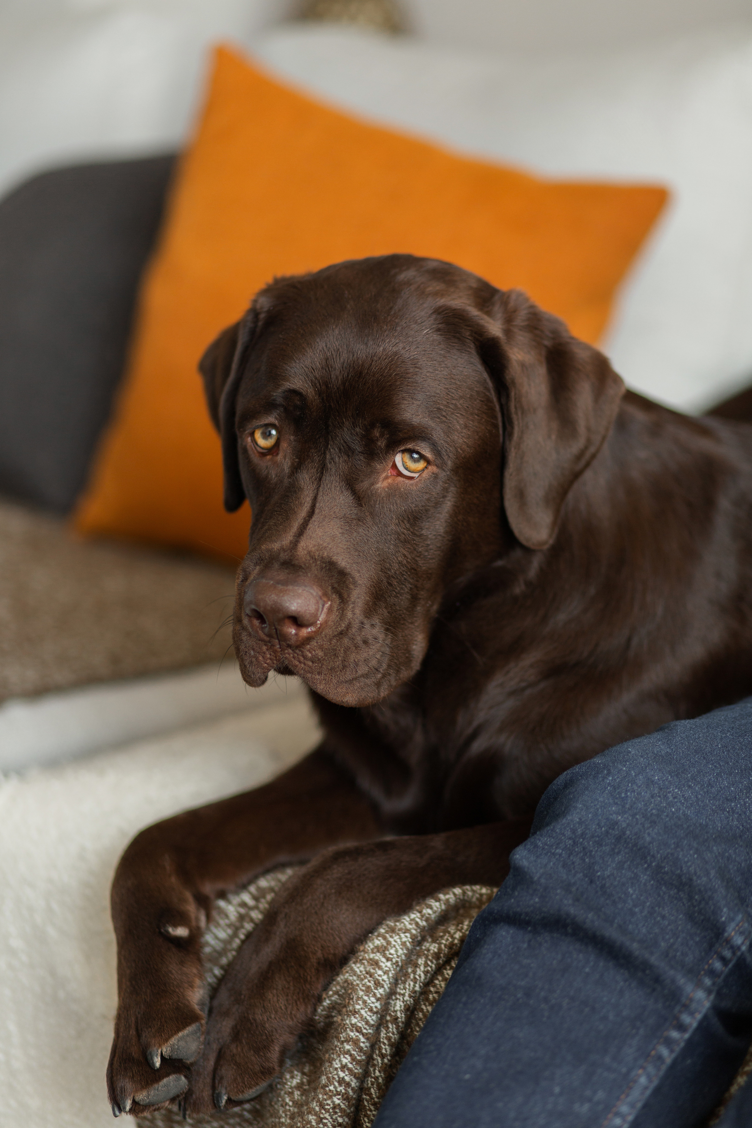 Милена и Чингиз. Домашняя серия. Семейный фотограф в Каневской Епифанова Ольга