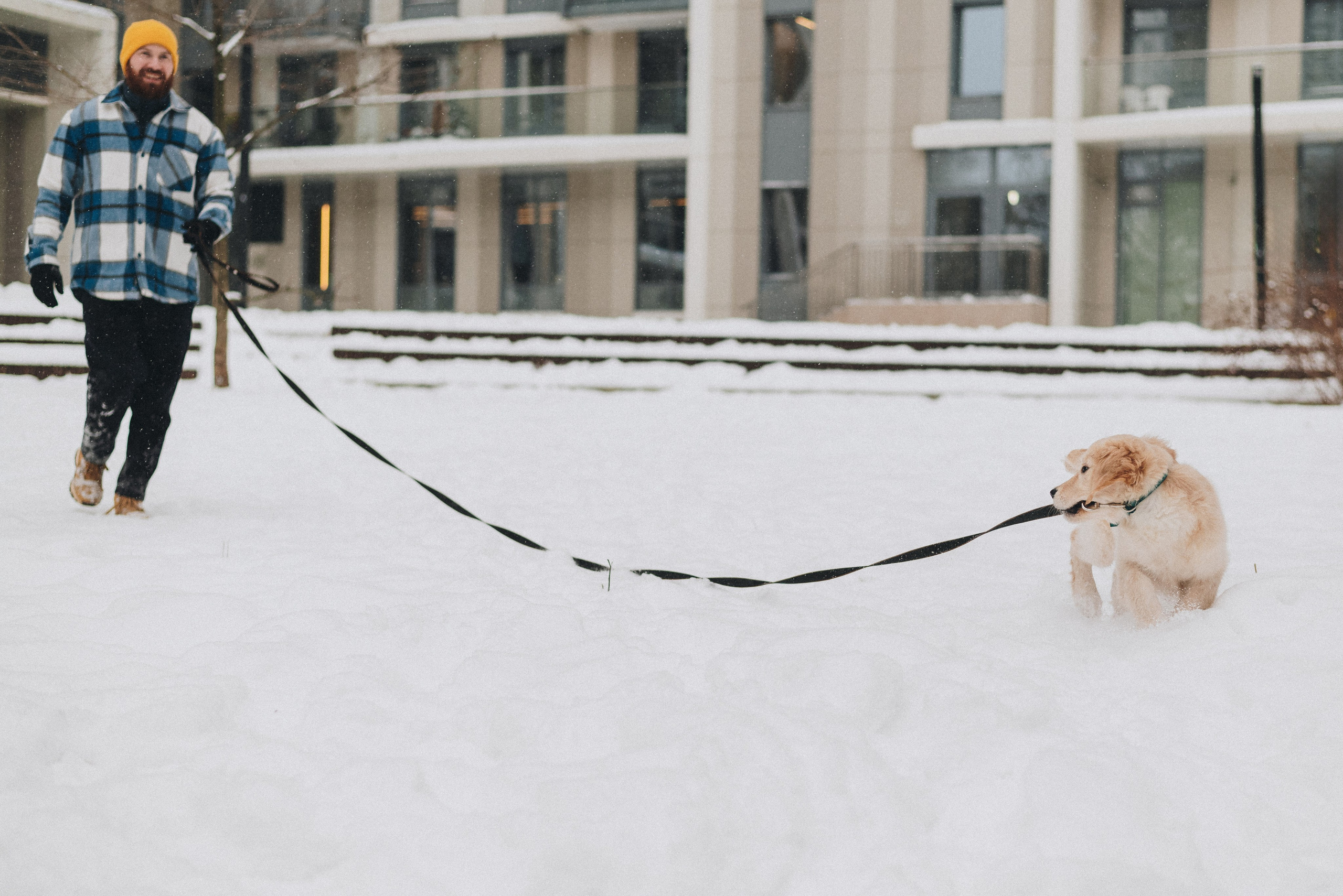 Sonia, Denis & Baggi. Natalia Finch Photography — Family, Kids & Pet Photographer in Chicago, IL