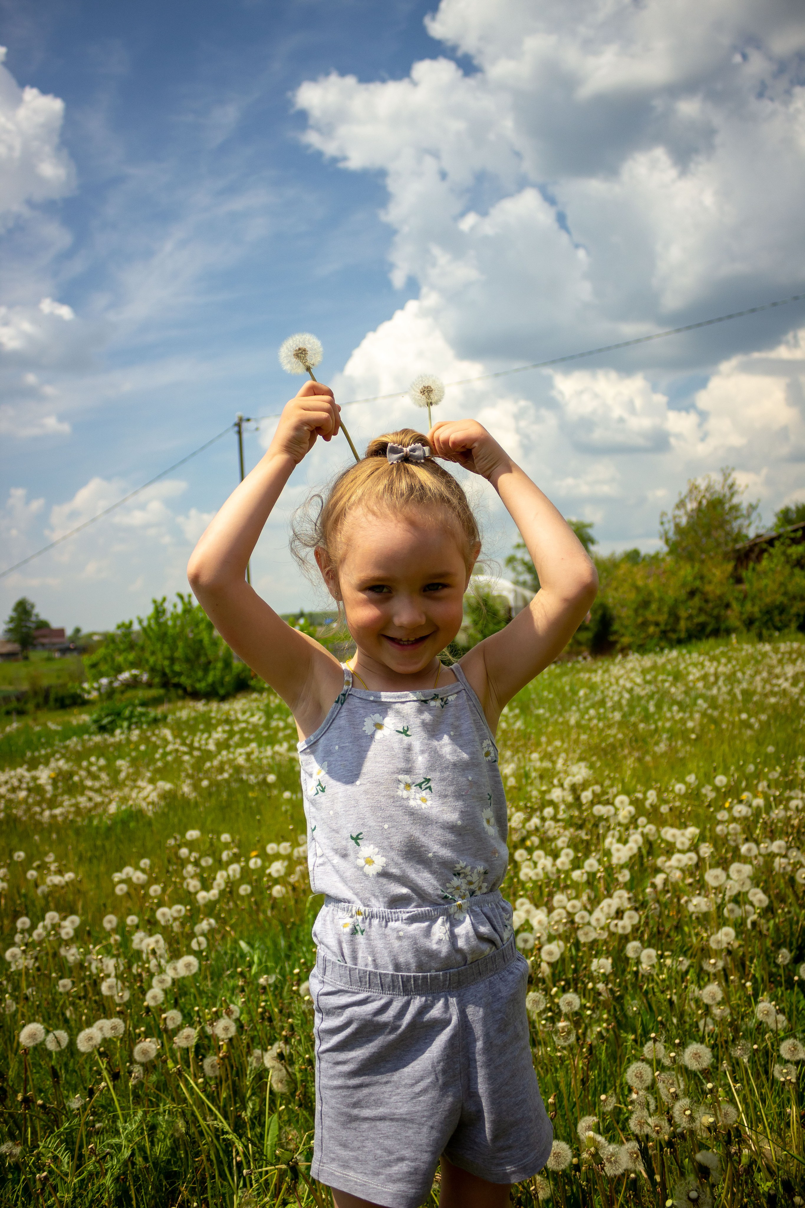 Одуванчики. Фотограф в Богдановиче Анна Сантяпова