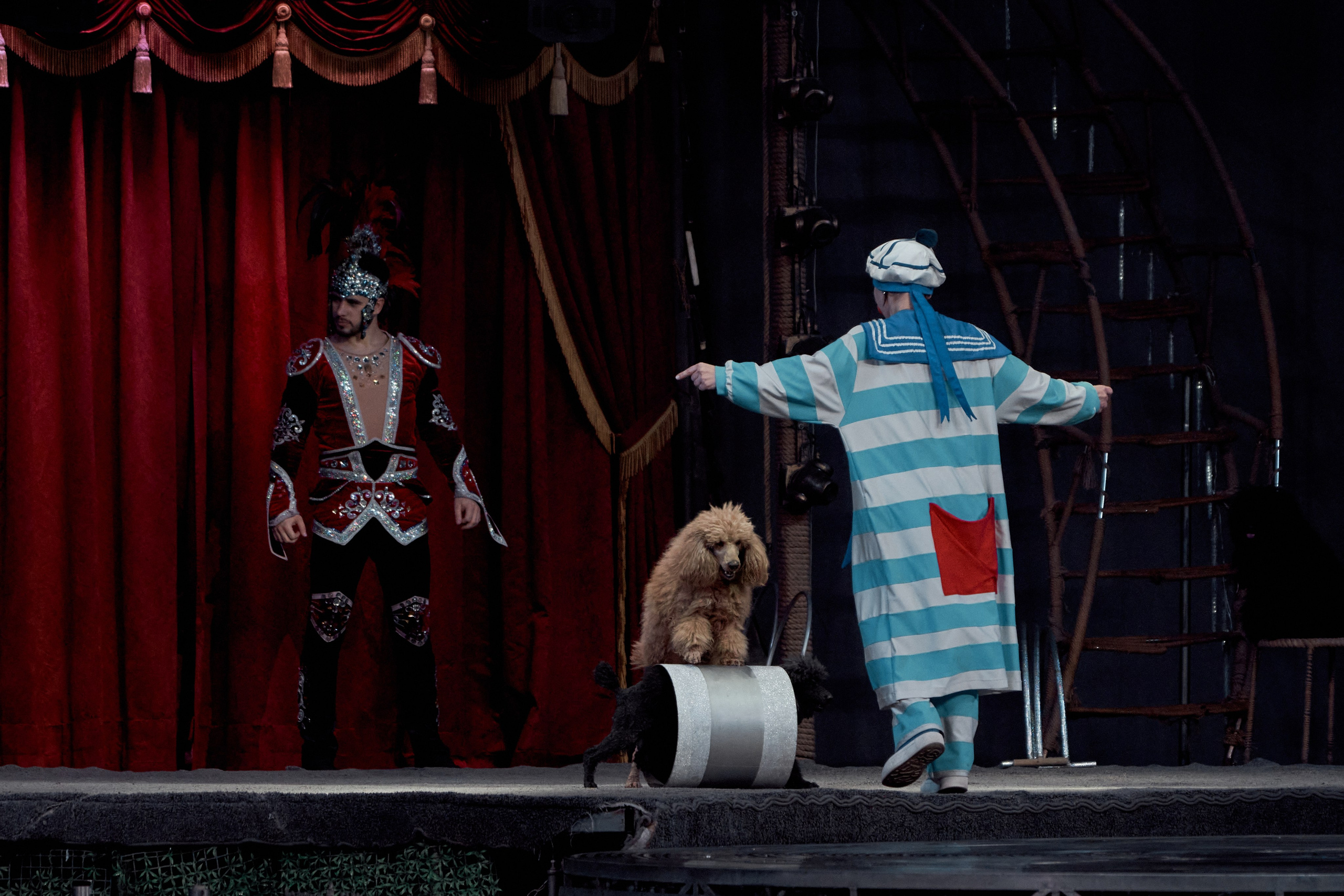 Цирк «На воде». Фотограф