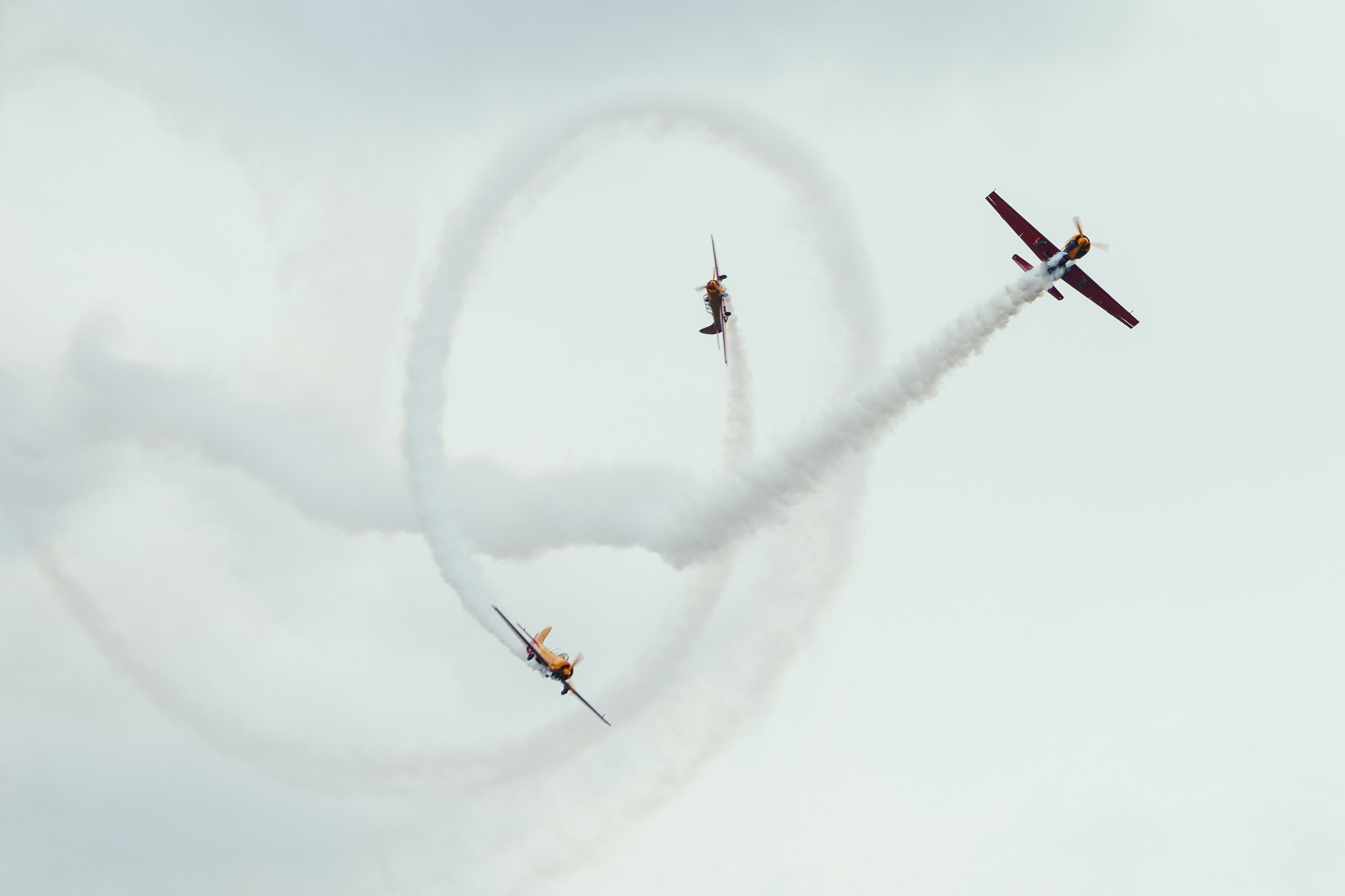 ПАРИ ФЕСТ. Sunnyman