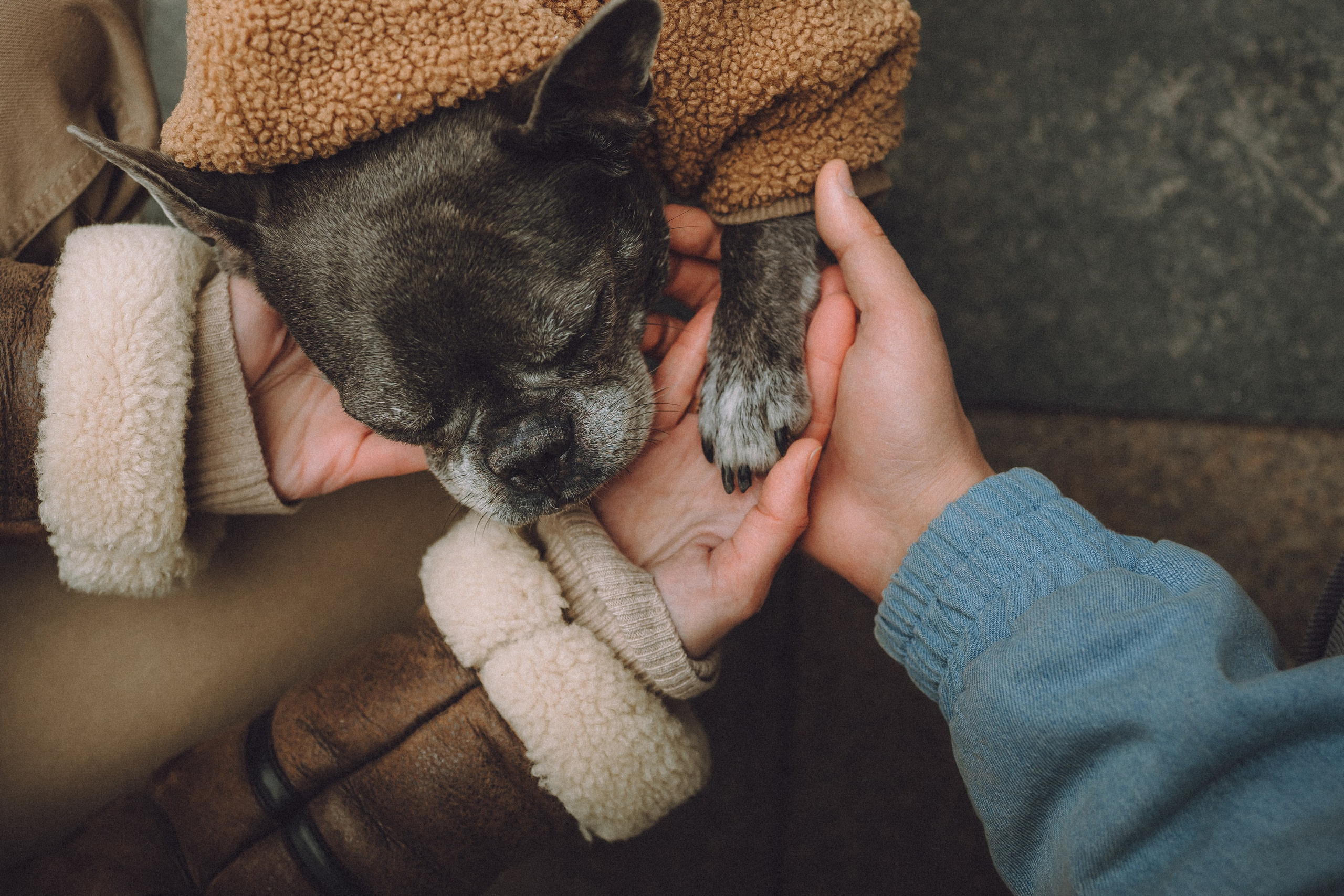 Юля, Вова и Моня