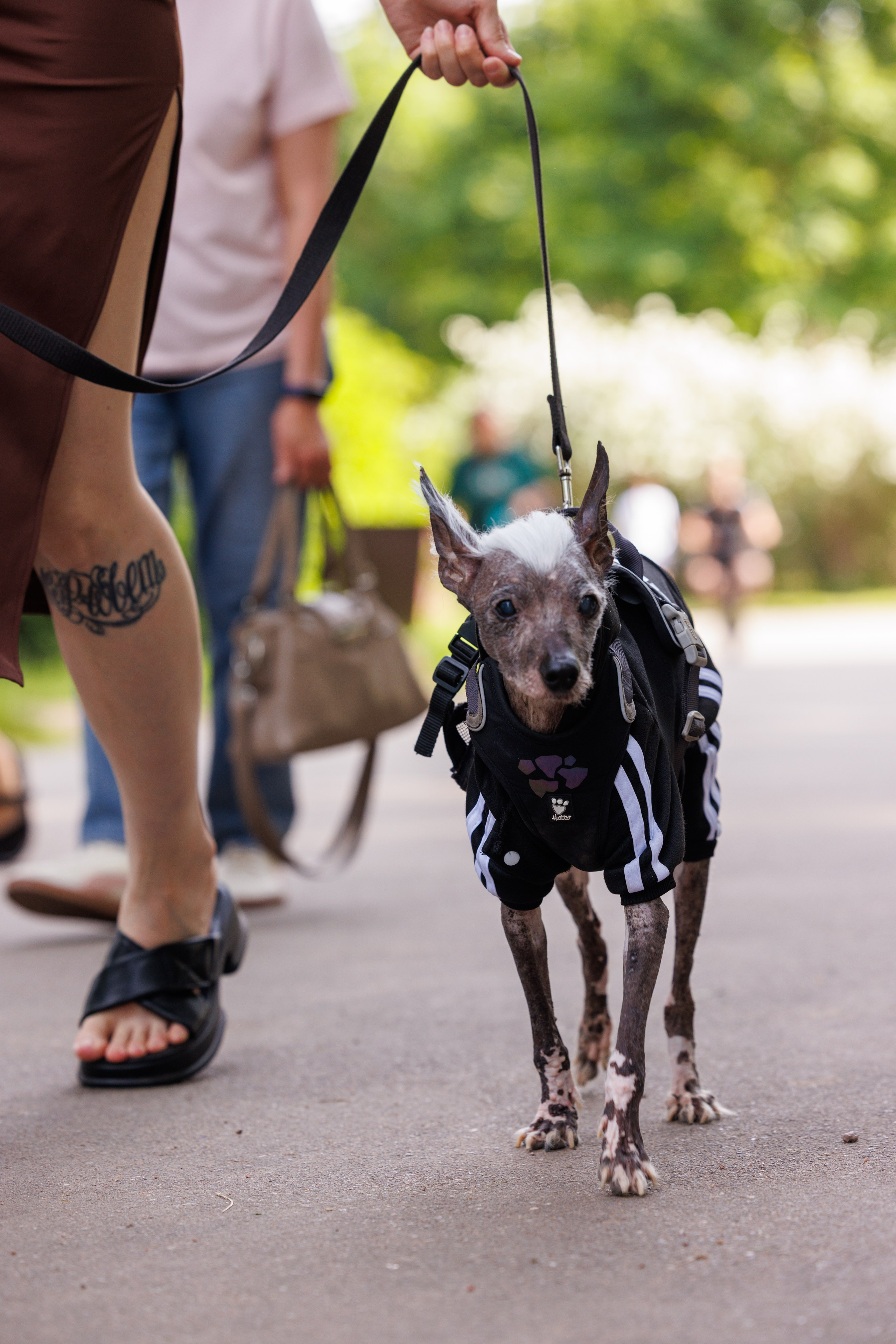 PetShopDays2026. Фотограф Александр Заломаев