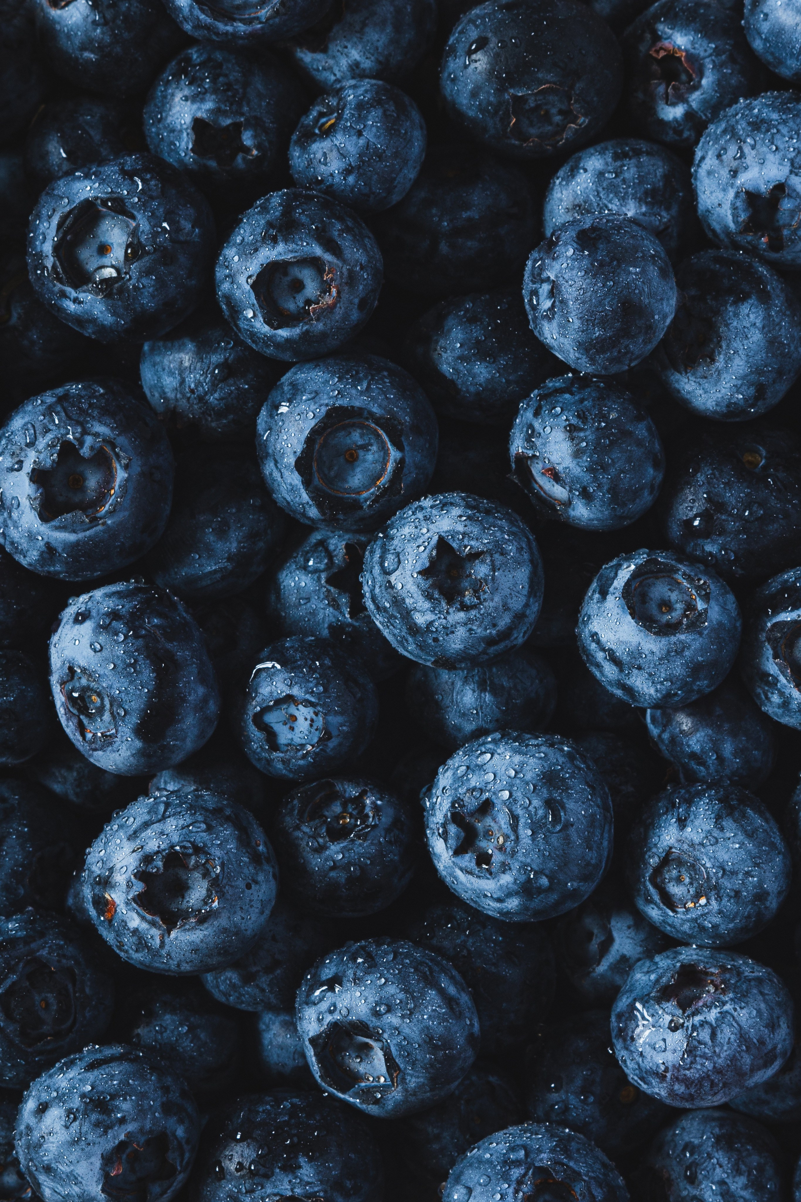 Фуд Фотография. Фотограф г. Тамбов г. Воронеж Богдан Тарасов