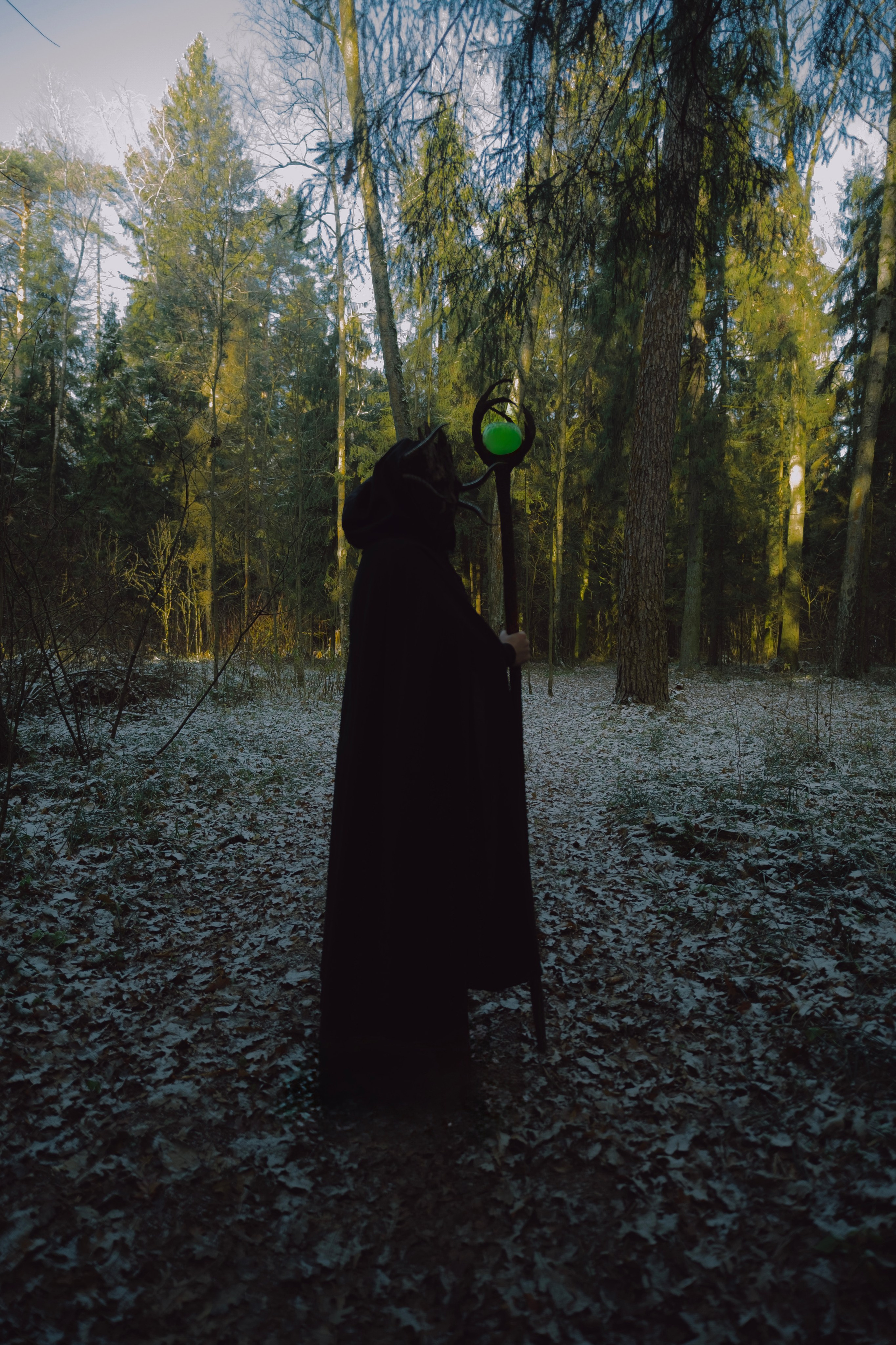 «Дух леса». Фотограф (Москва, Мытищи)— Комова Анастасия