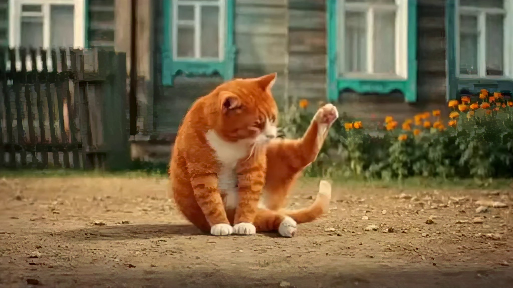 ИИ видео