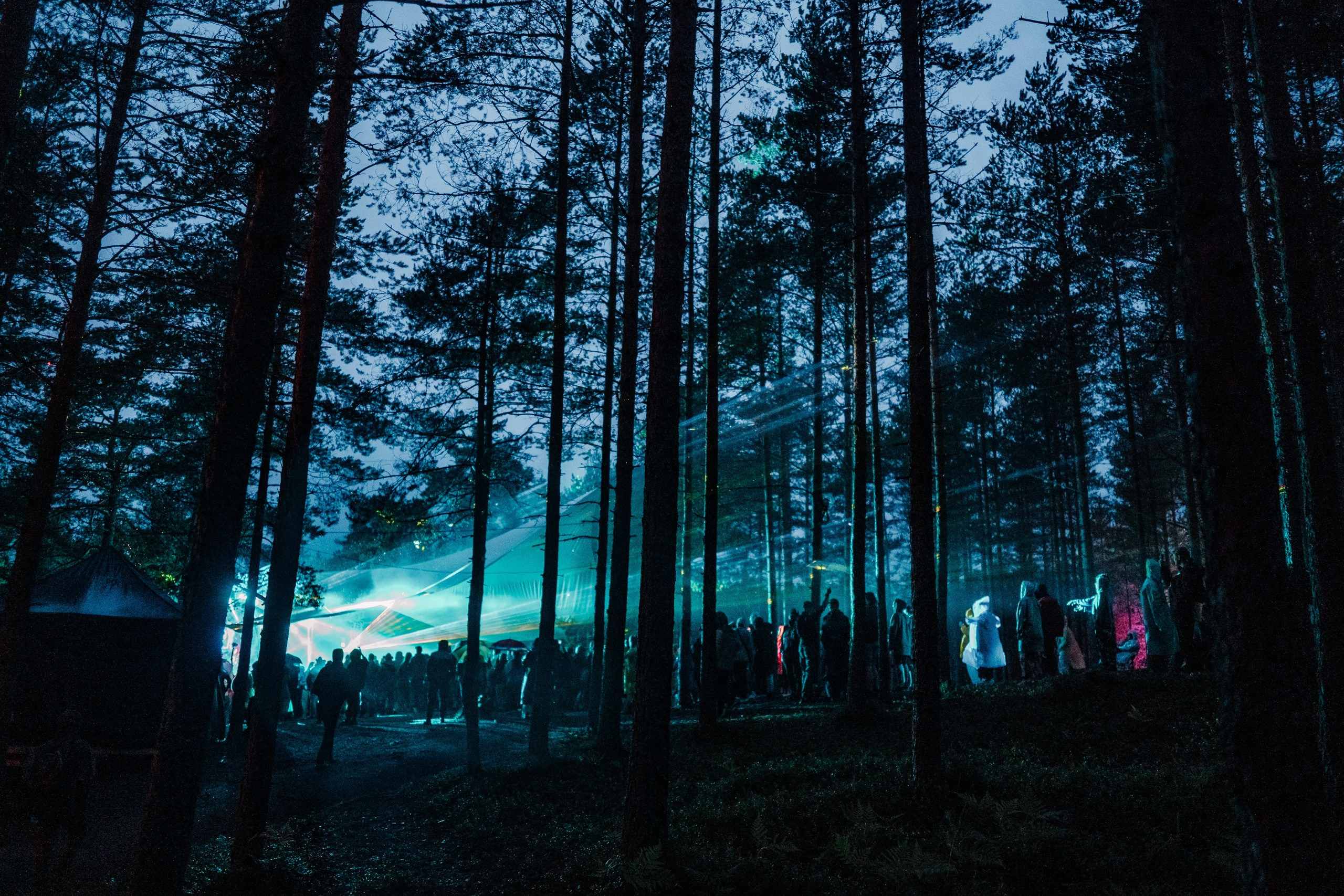 Ethnoscope `23. KORSHIKOV SERGEY