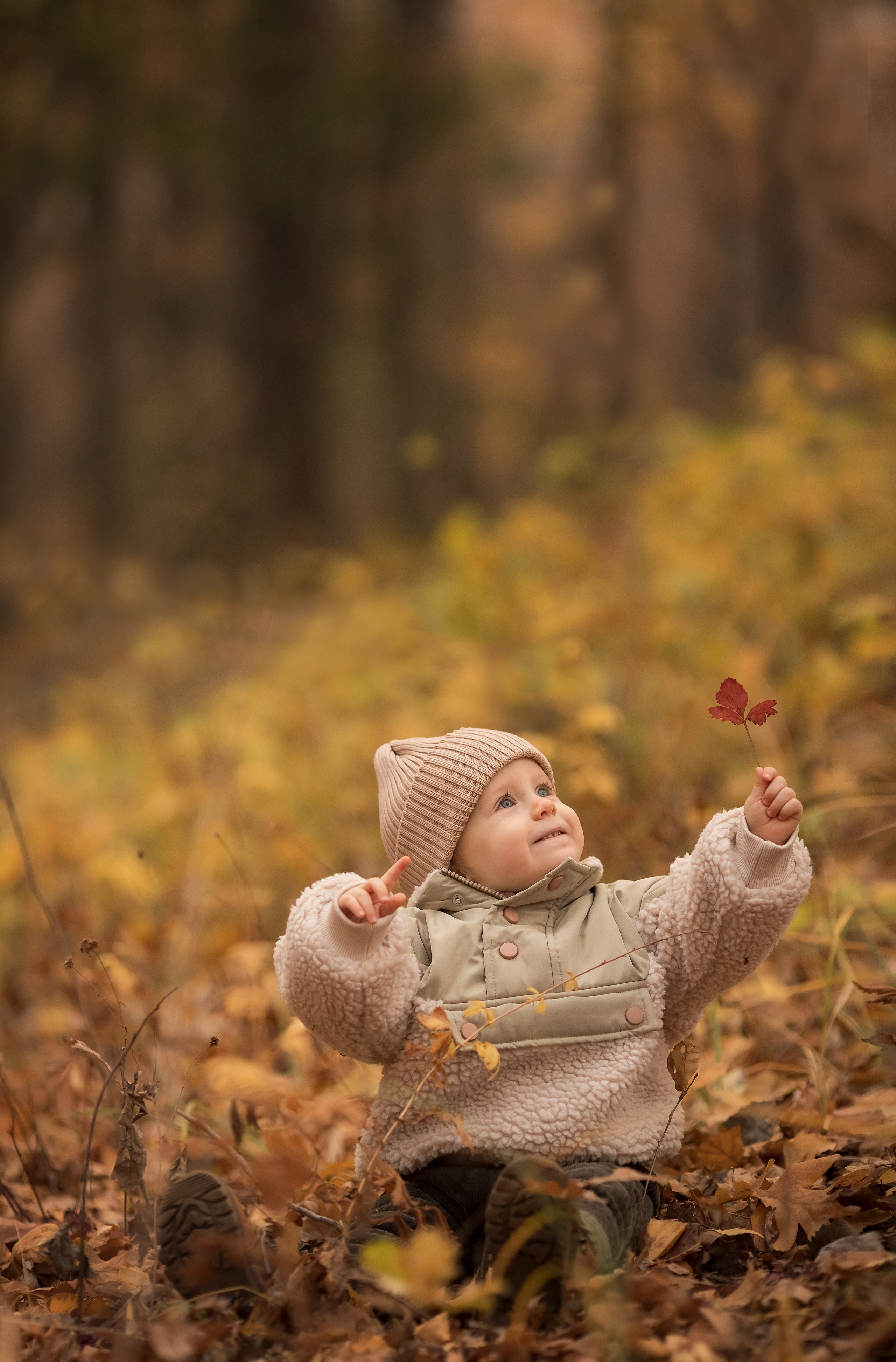 Осень в лесу. Семейный и детский фотограф в Саратове Полина Коткина