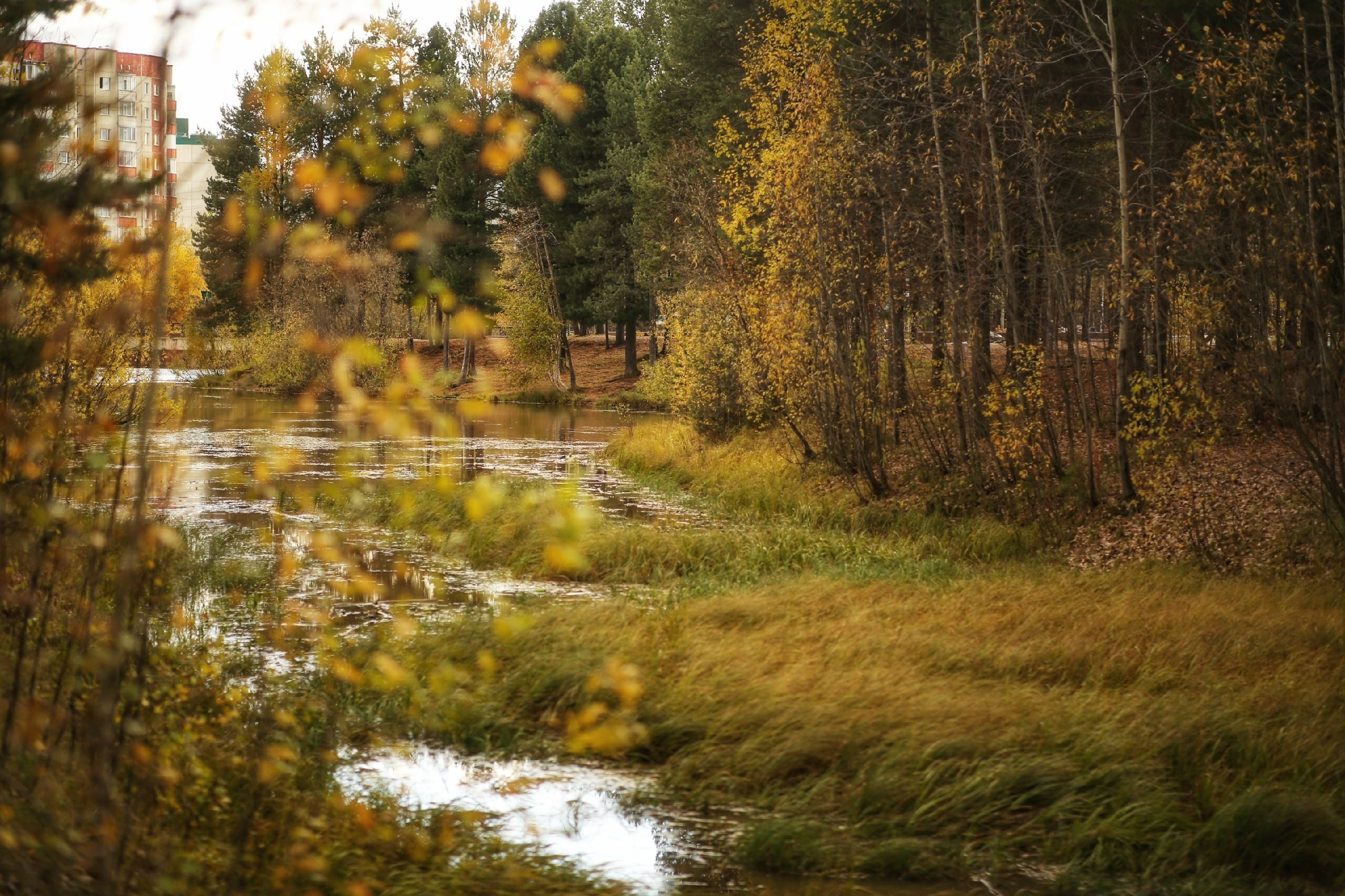 Осень. Фотограф в г. Сургуте Марина Киприна