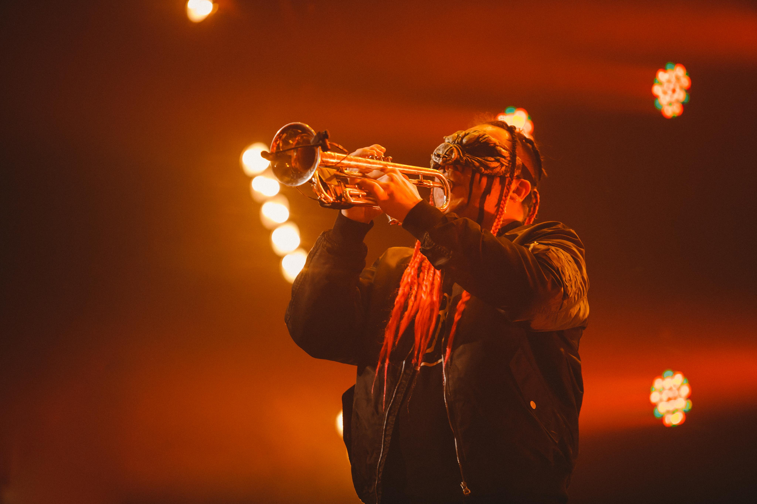 ПНЕВМОСЛОН. Фотограф Сонкина Татьяна