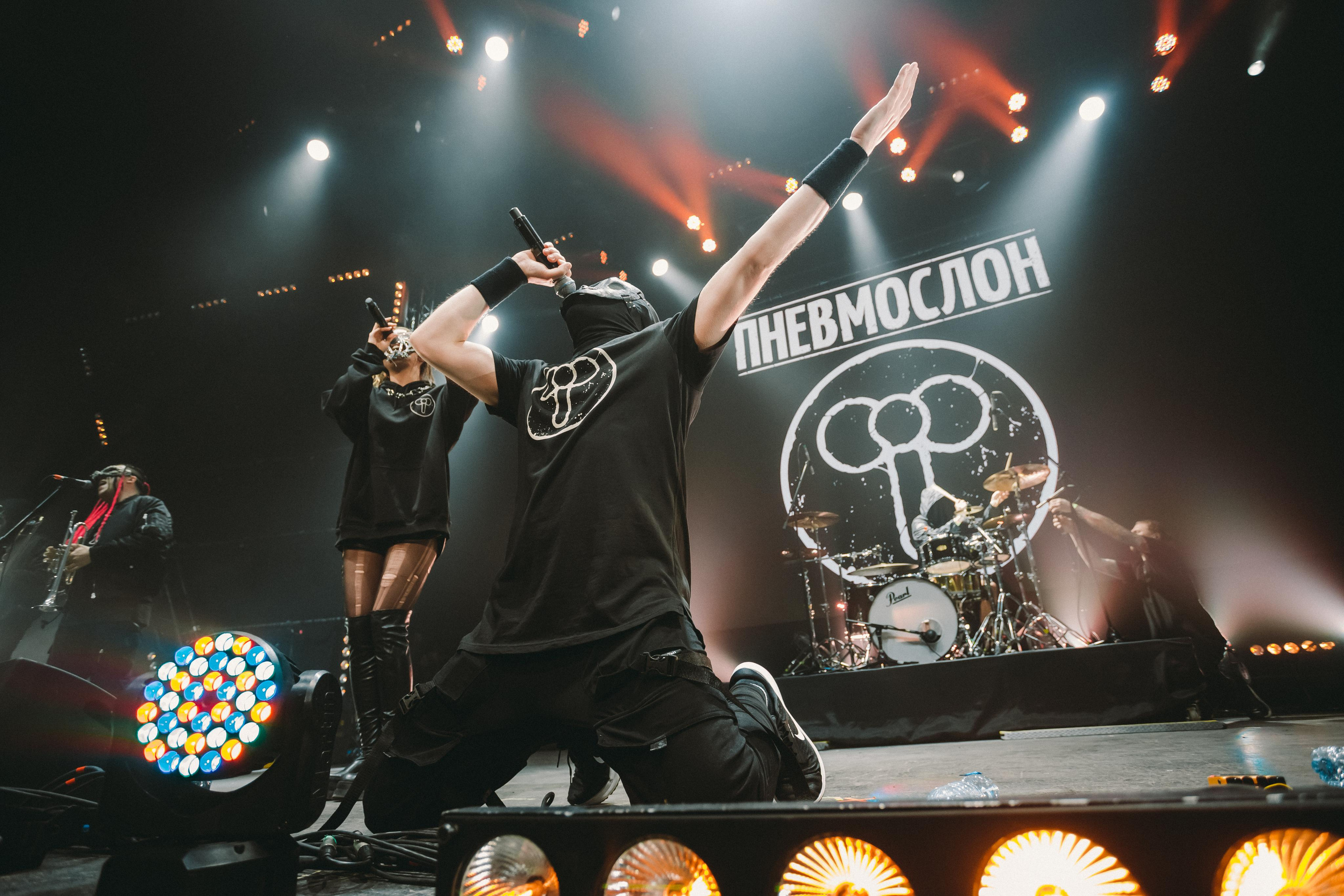 ПНЕВМОСЛОН. Фотограф Сонкина Татьяна