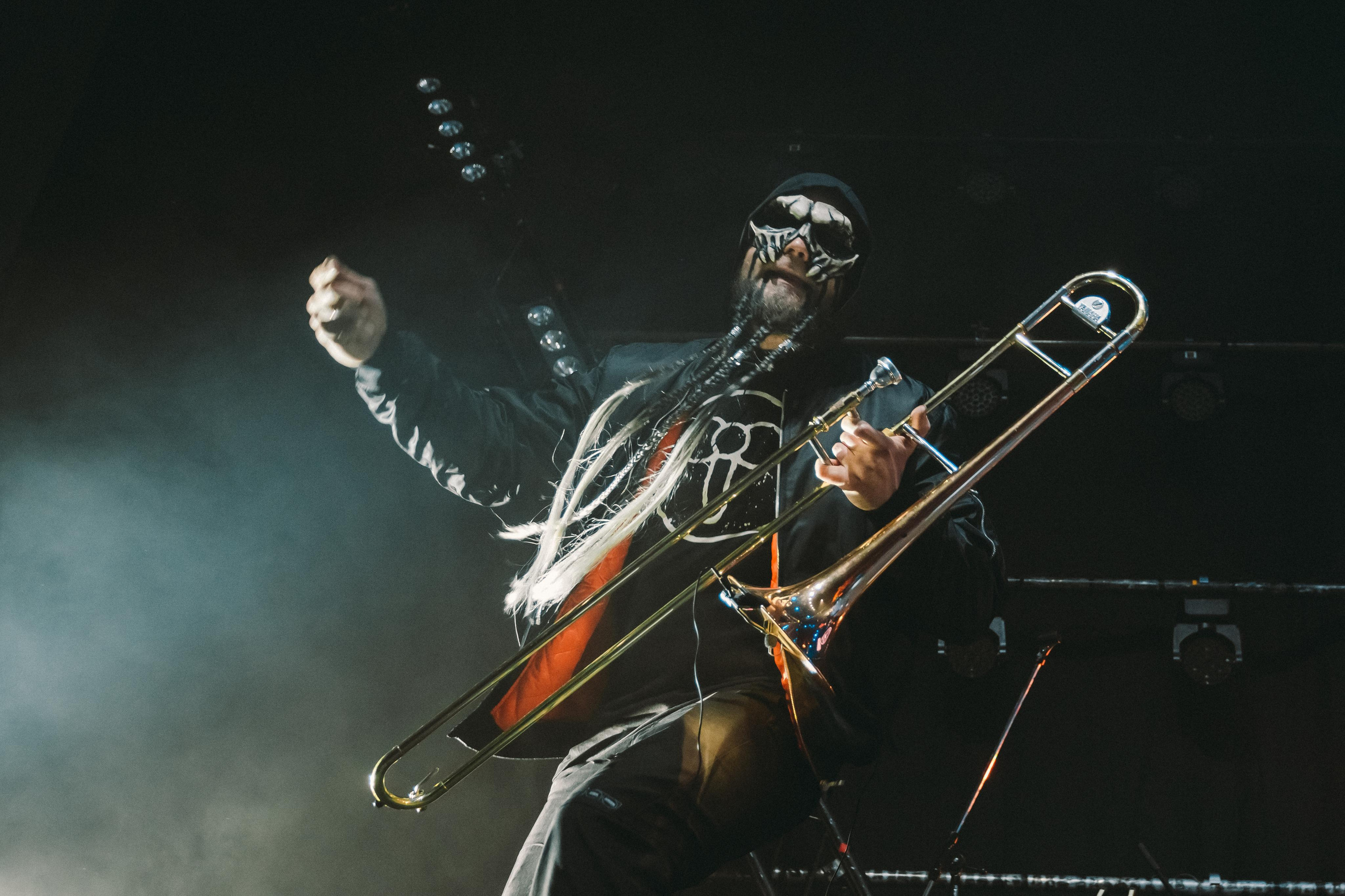 ПНЕВМОСЛОН. Фотограф Сонкина Татьяна