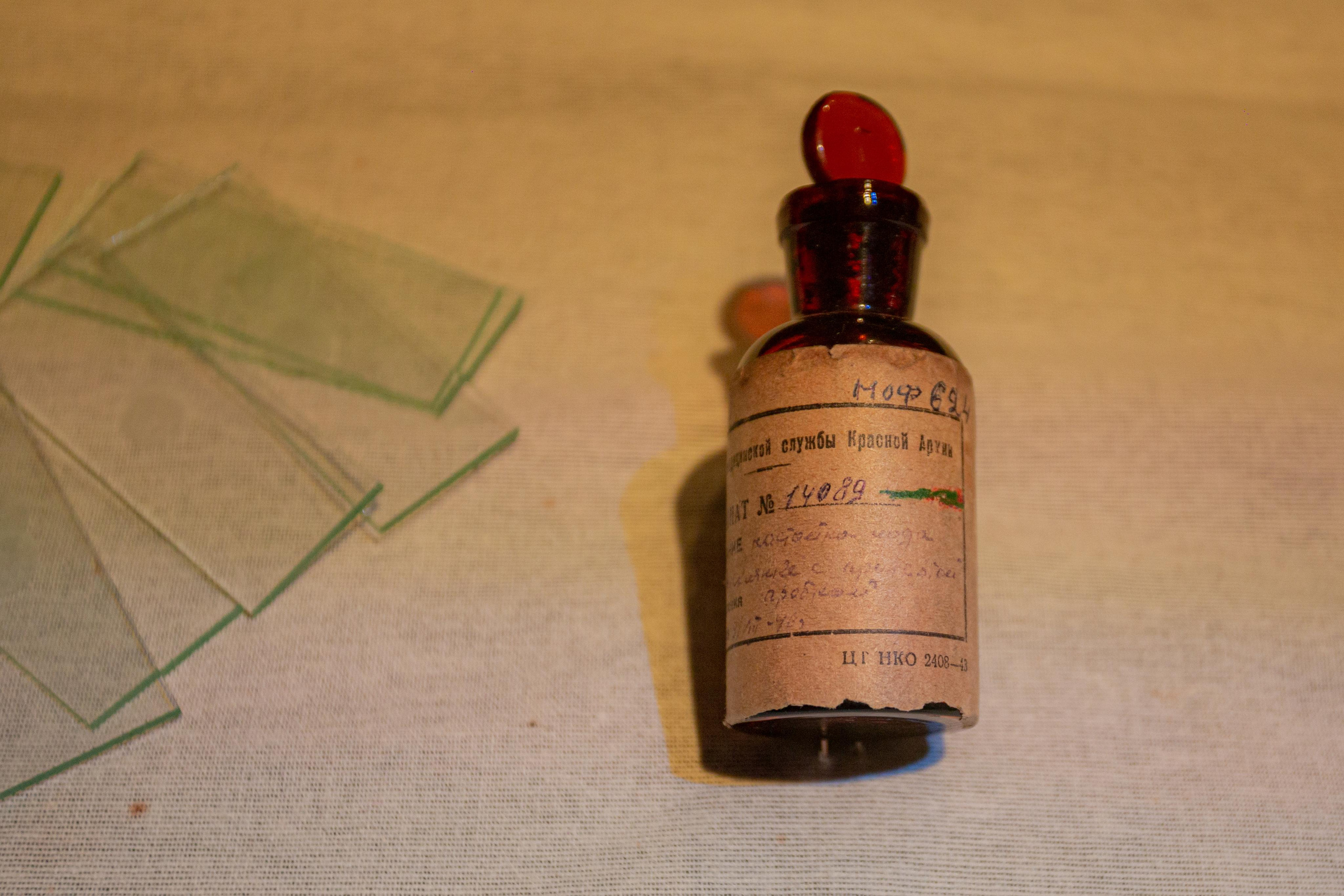 Парк Патриот. Photographer Sonkina Tatiana (Tanya Ash)