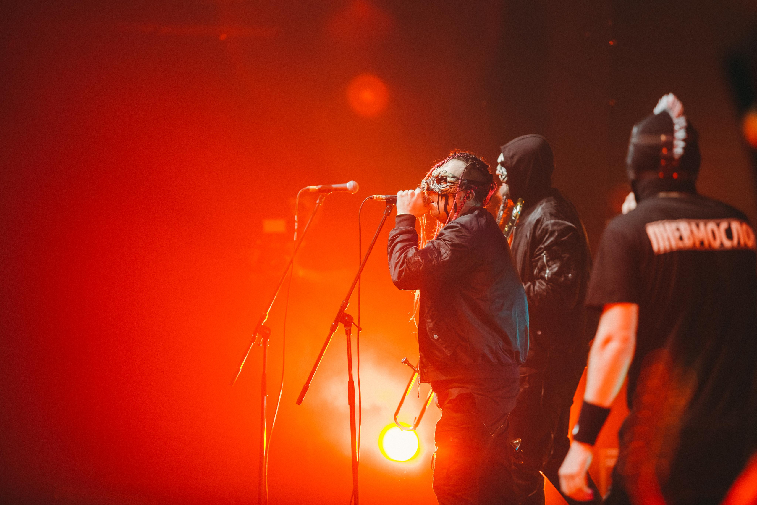 ПНЕВМОСЛОН. Фотограф Сонкина Татьяна