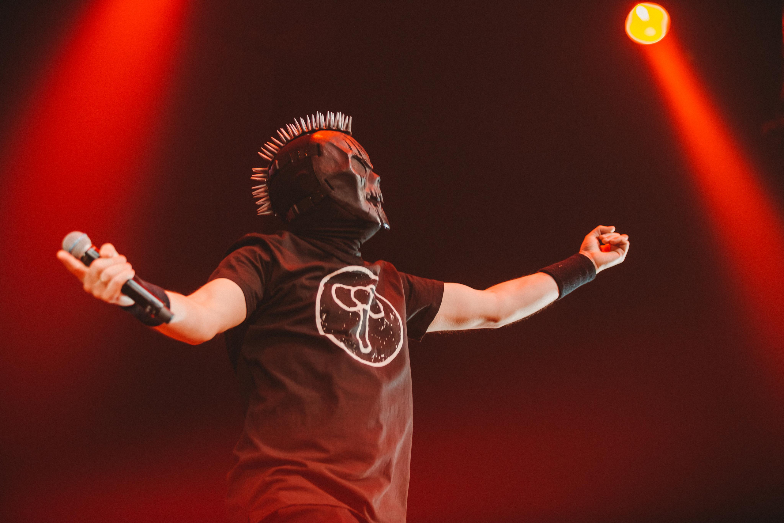 ПНЕВМОСЛОН. Фотограф Сонкина Татьяна