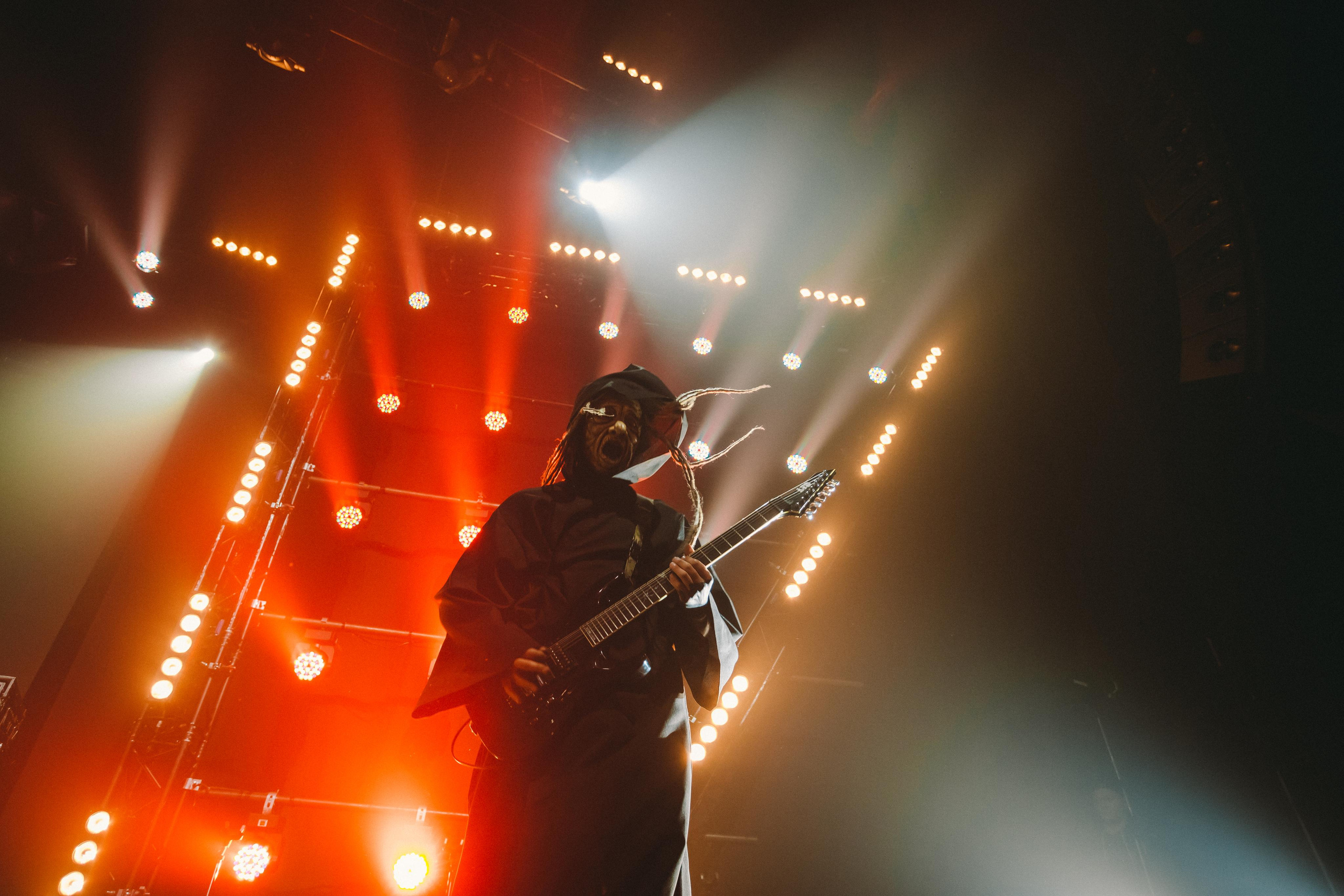 ПНЕВМОСЛОН. Фотограф Сонкина Татьяна