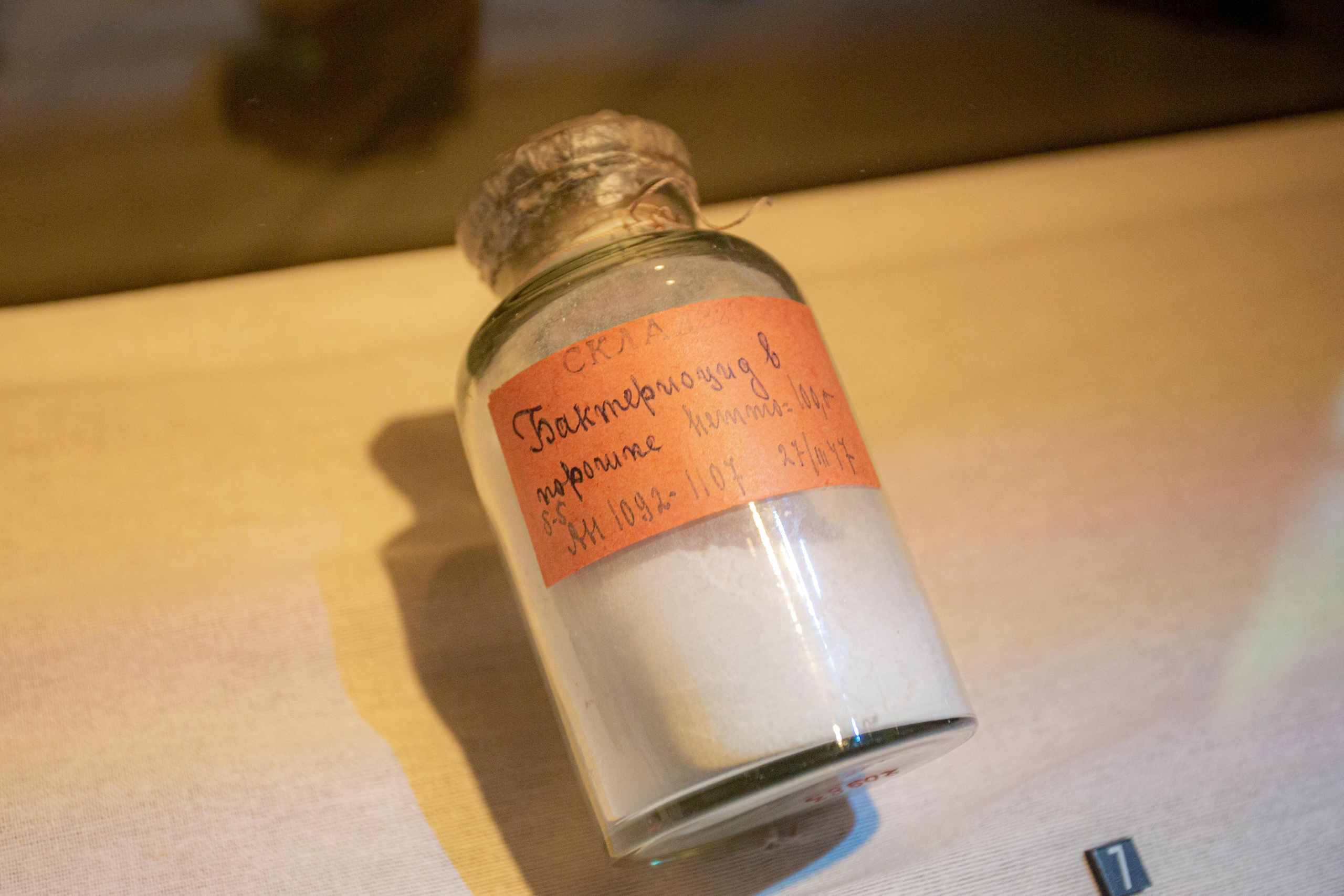 Парк Патриот. Photographer Sonkina Tatiana (Tanya Ash)