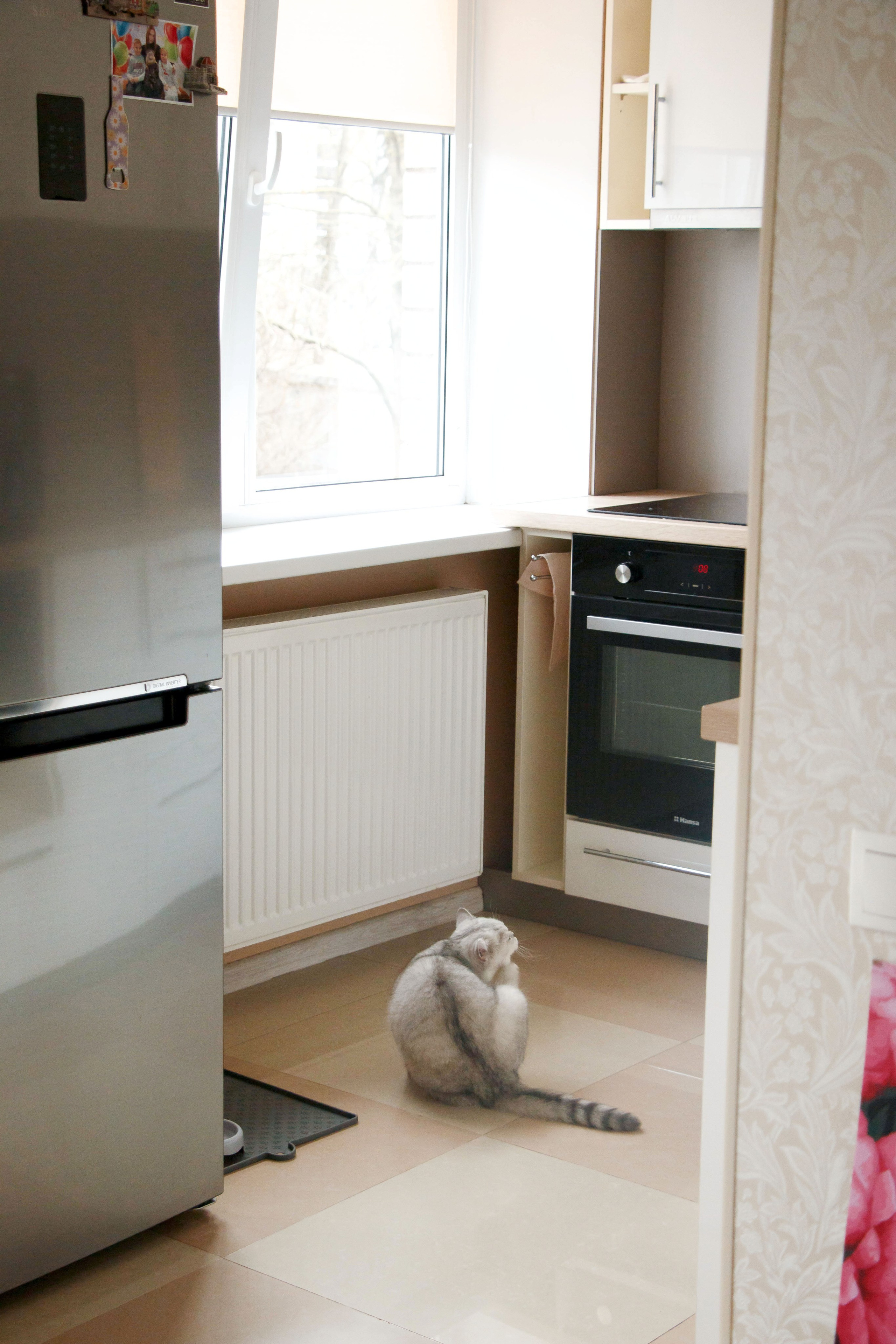 NASTYA & KITTI. Бережно сохраняю ваши чувства и истории на своих фотографиях