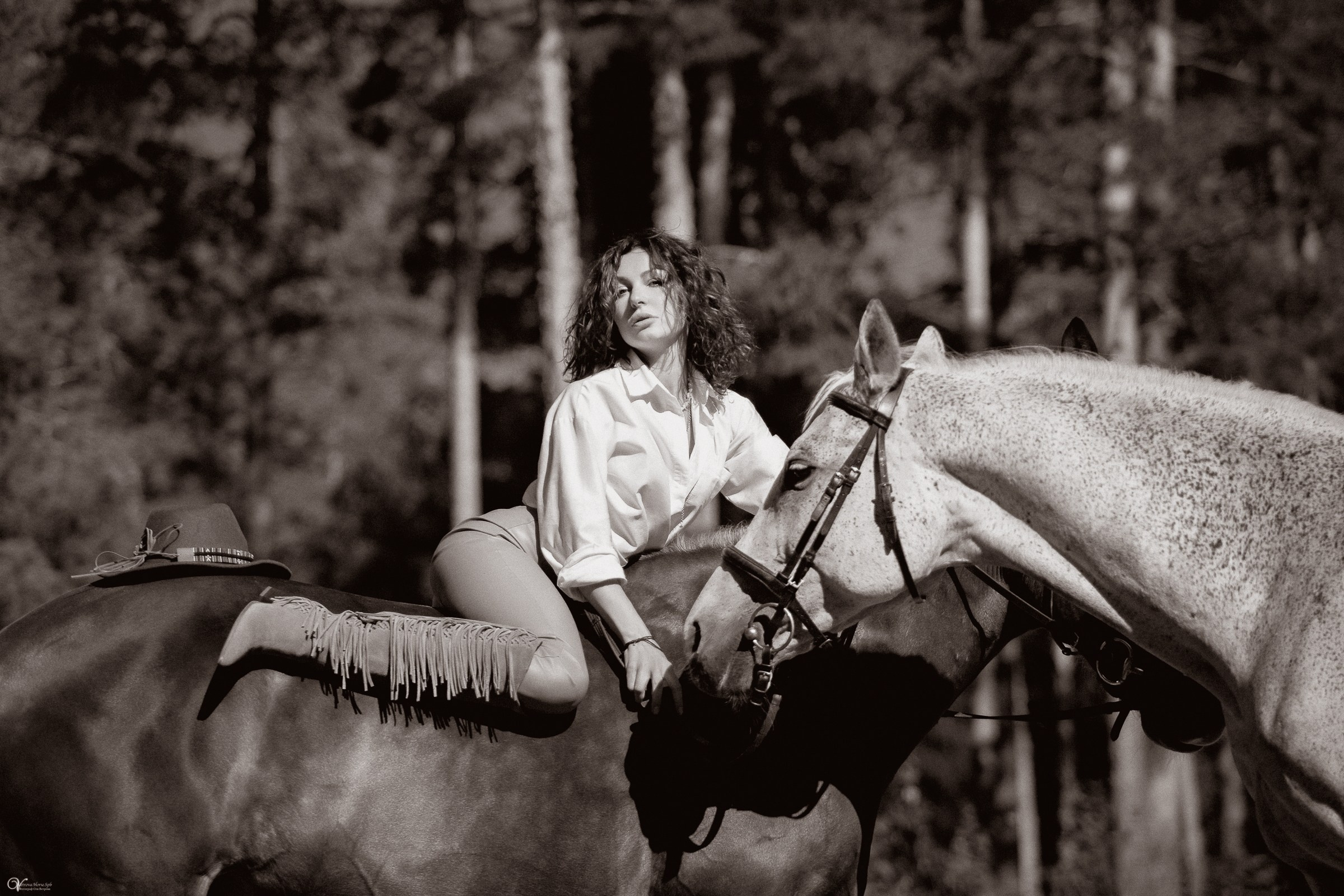 Фотосессия с лошадьми в катри-стиле. Фотограф женский и мужской портрет Санкт-Петербург