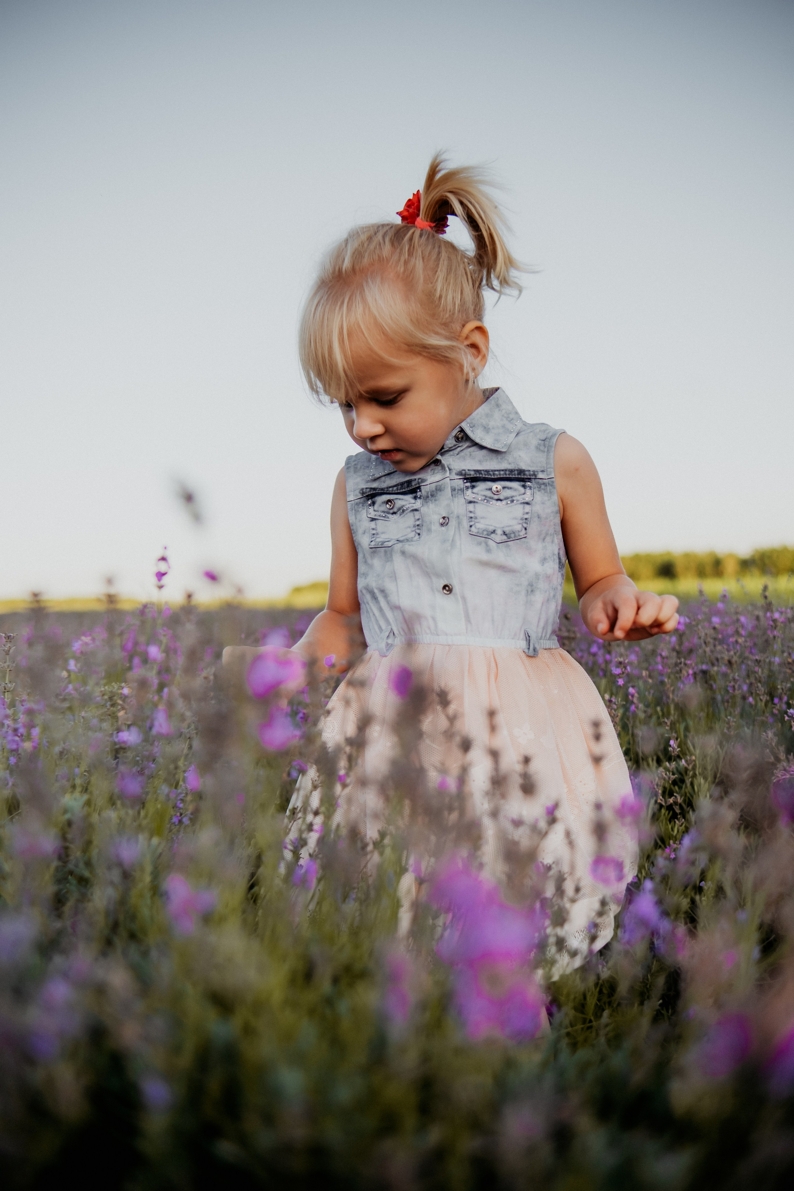 Семейная съемка в лованде. Nattie.ph