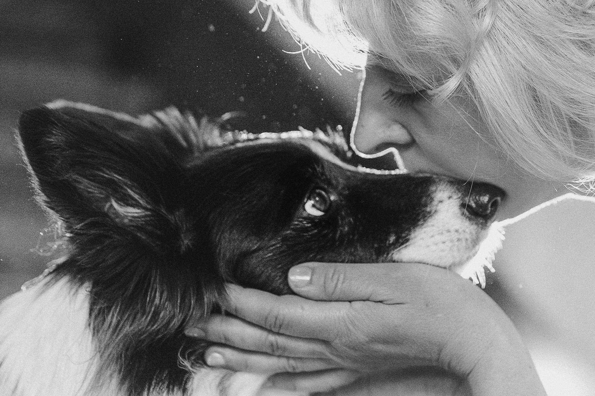 Таня, Марта и Клипса. Фотограф анималист в Москве и Санкт-Петербурге Свиридова Анна