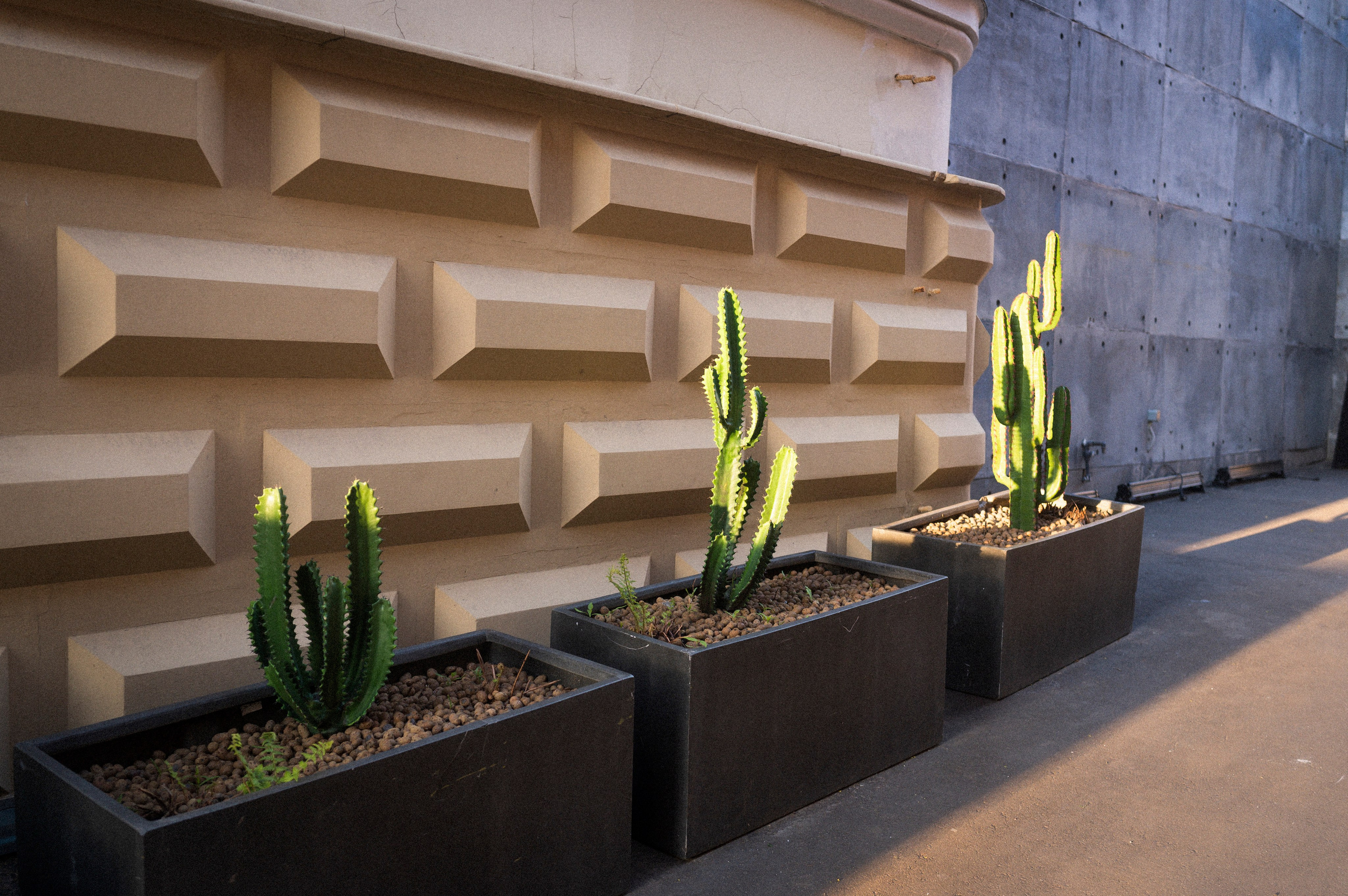 Random, 1. Kartascheff