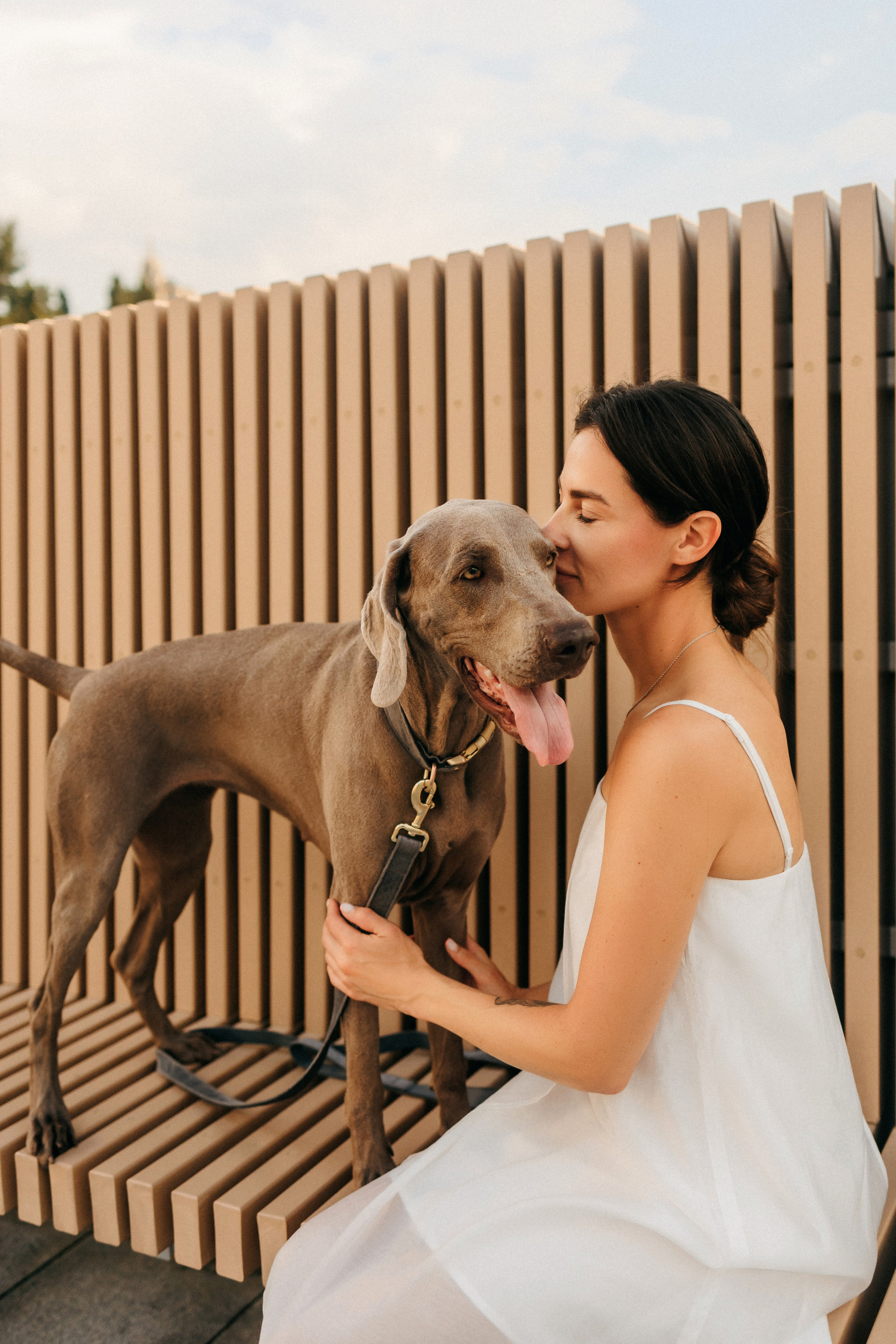 Соня и Майли. Фотограф-анималист Елена Радченко, Москва