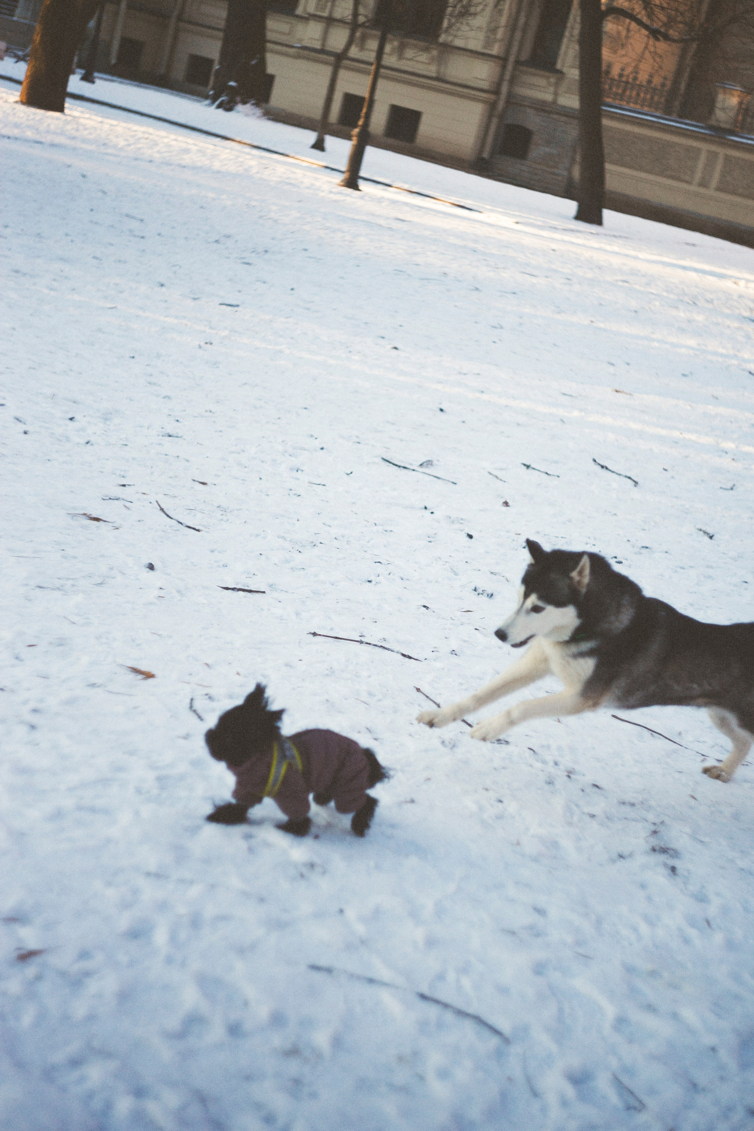 В Алексеевском саду. Фотограф Адигамова Юлия в Петербурге