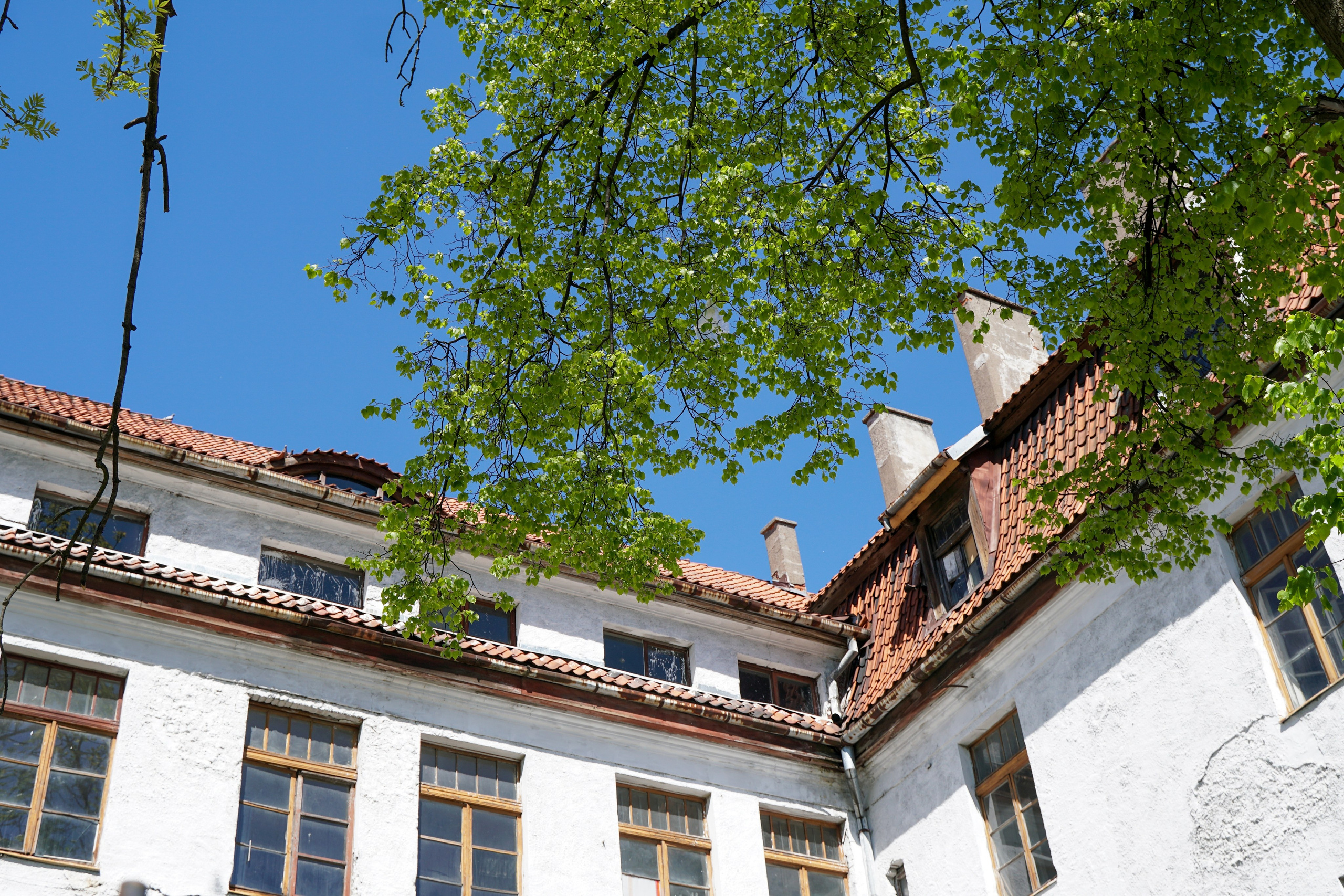 СОВЕТСК, ЧЕРНЯХОВСК. Фотограф Наталья Погодина в г. Обнинске