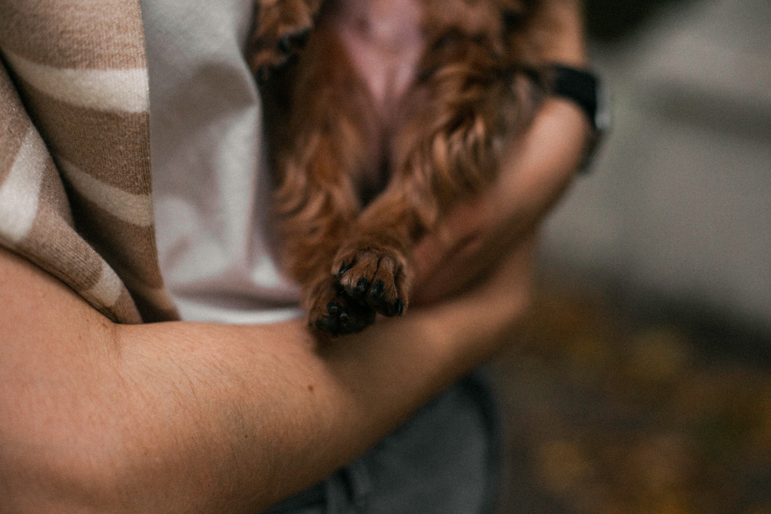 Катя и Моня. Фотограф-анималист Татьяна Степанова