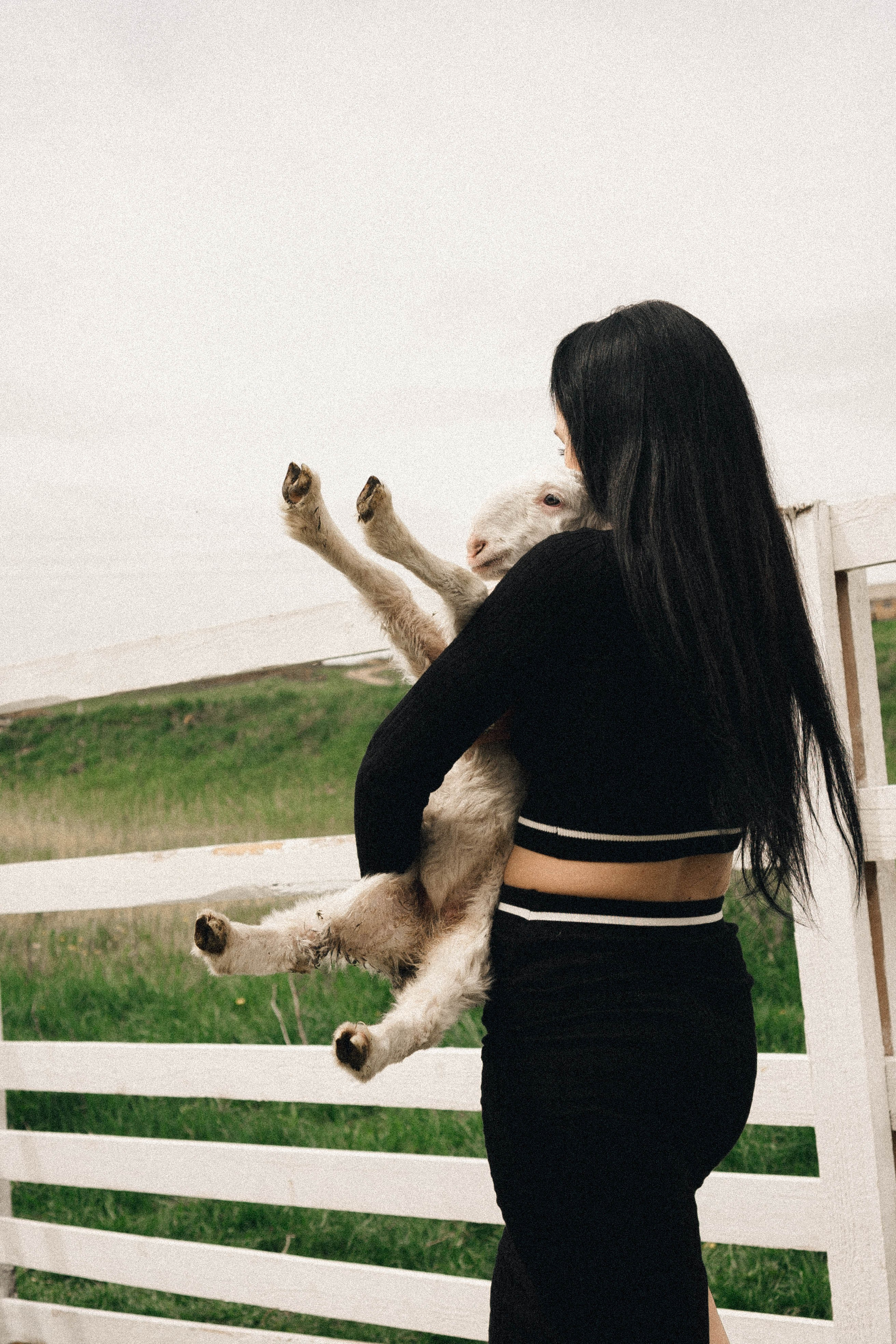 Ферма Альпак. Профессиональный фотограф, Санкт-Петербург — Виктория Богомолова