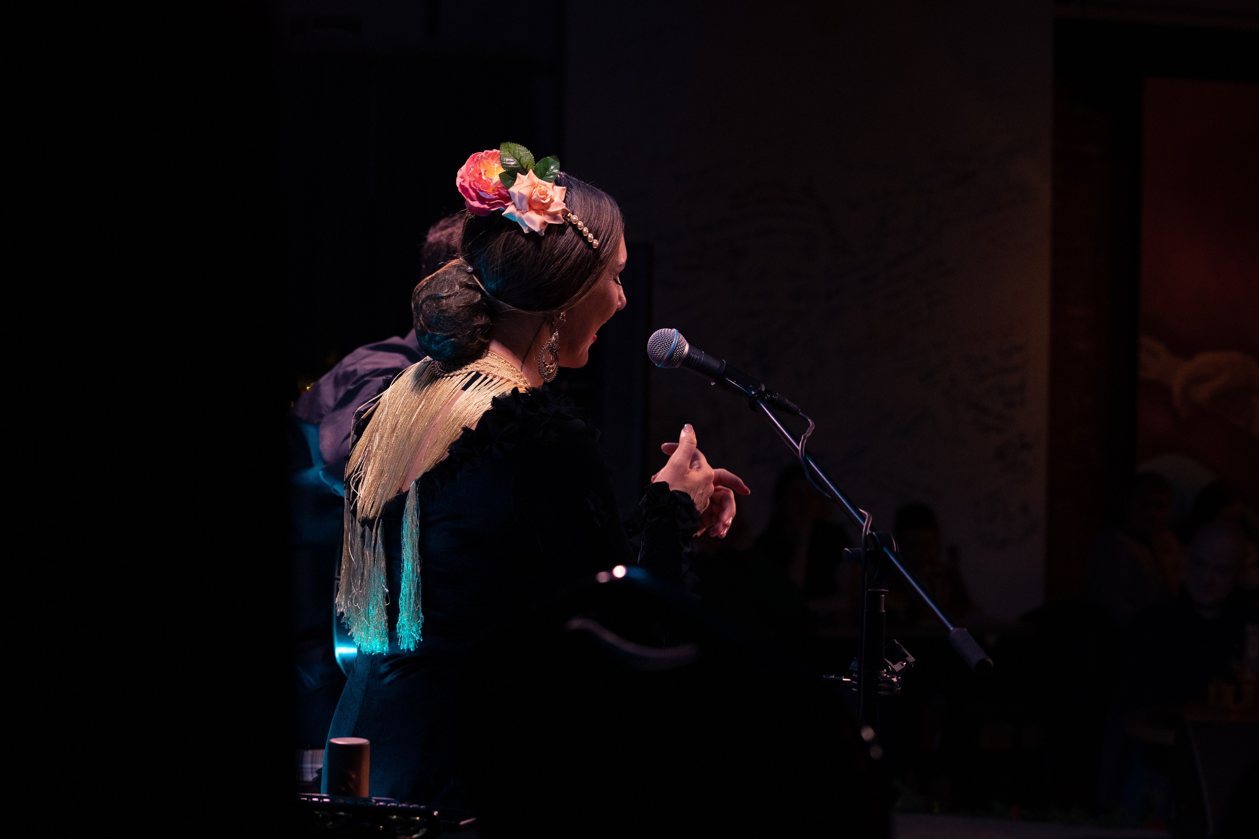 Flamenco 02.01.2025. Индивидуальные съемки, портретный фотограф