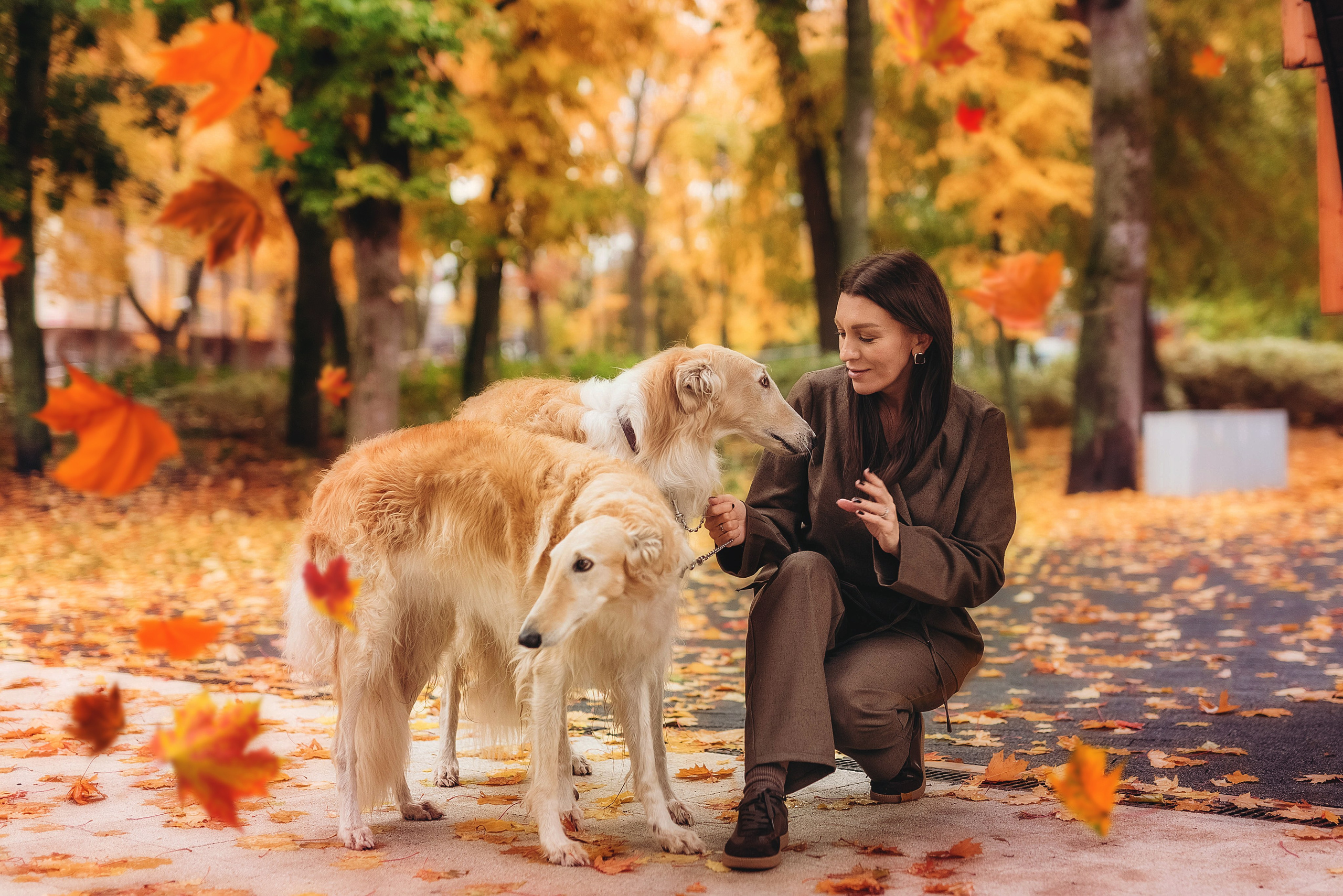 Фотосессия с борзыми. Семейный, детский фотограф в Воронеже Анна Никитина