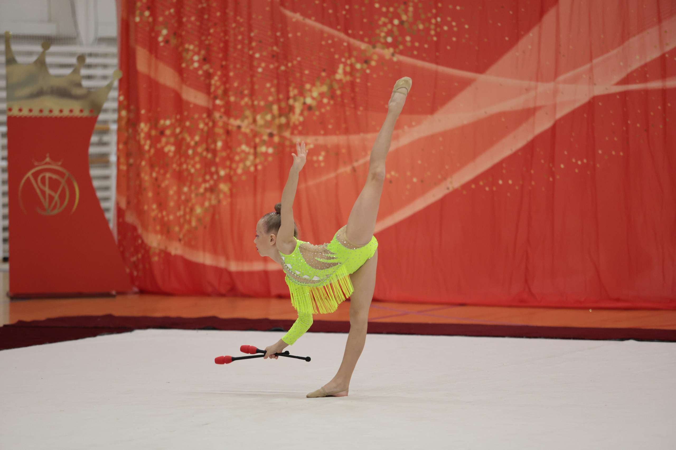 Профессиональная съемка гимнастического турнира в Пскове. Портретный Фотограф Александр «Konevtsoph» В Санкт-Петербурге