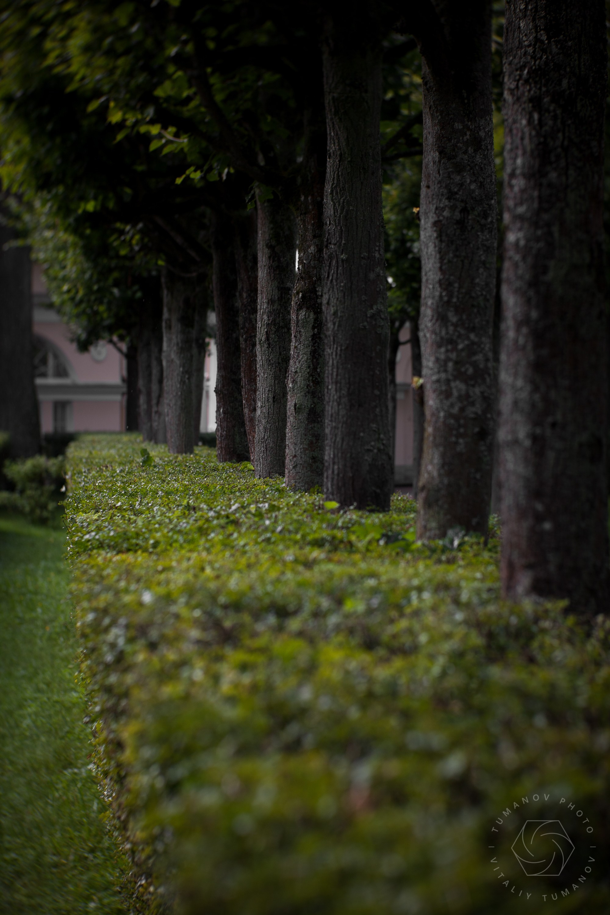 Ландшафтная фотография. Виталий Туманов — Ландшафтный фотограф