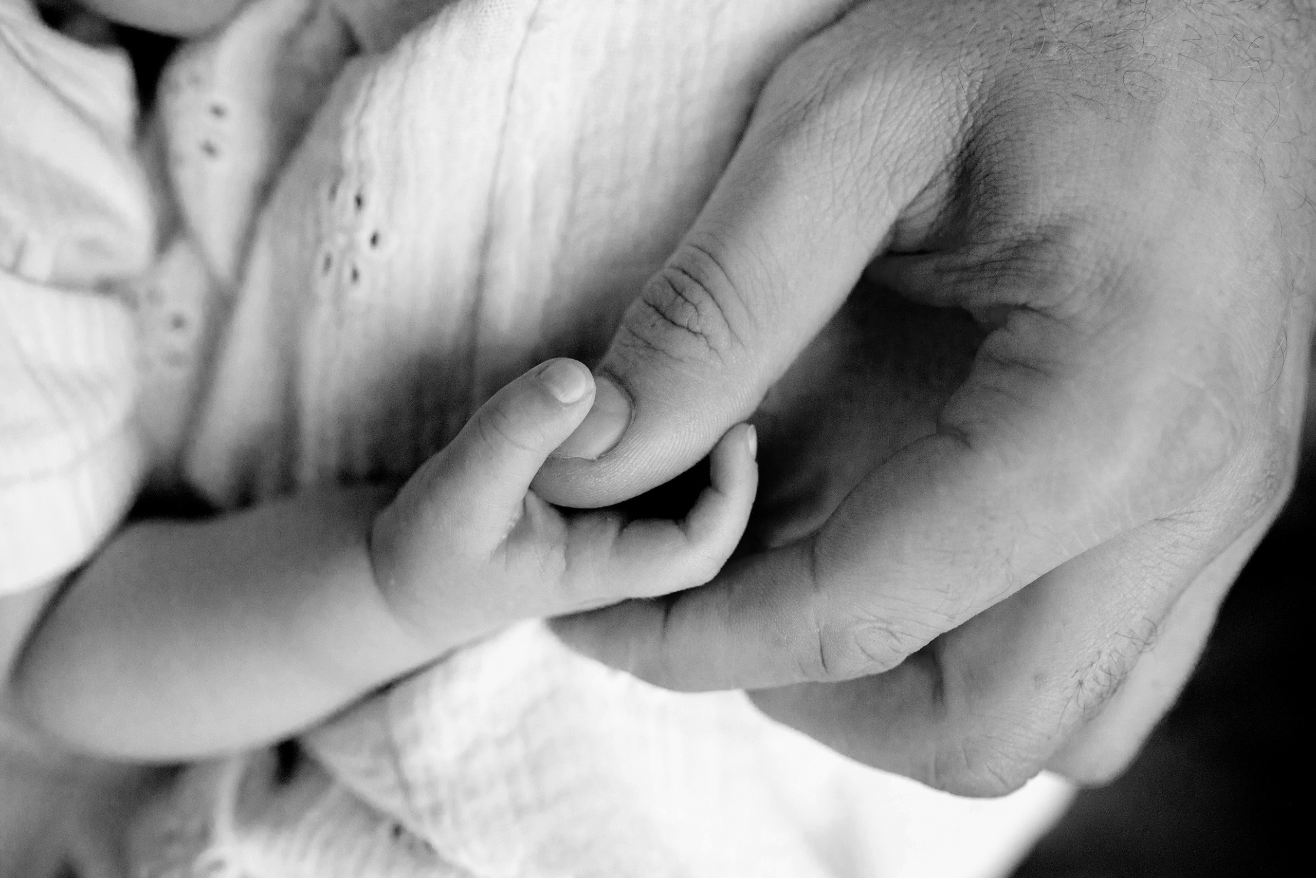 4 месяца (life)