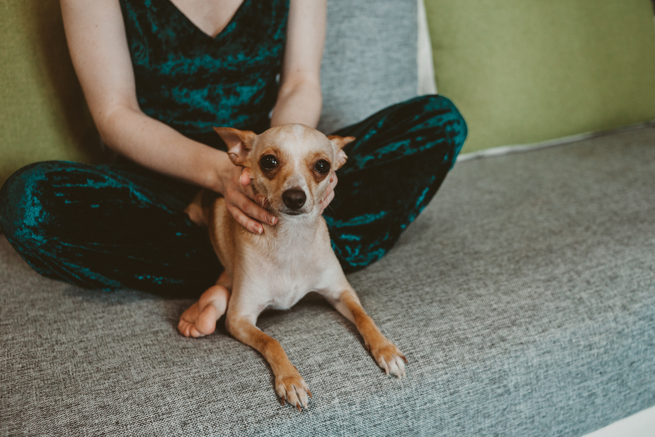 🤍. Екатерина Королева. Фотограф. Хабаровск