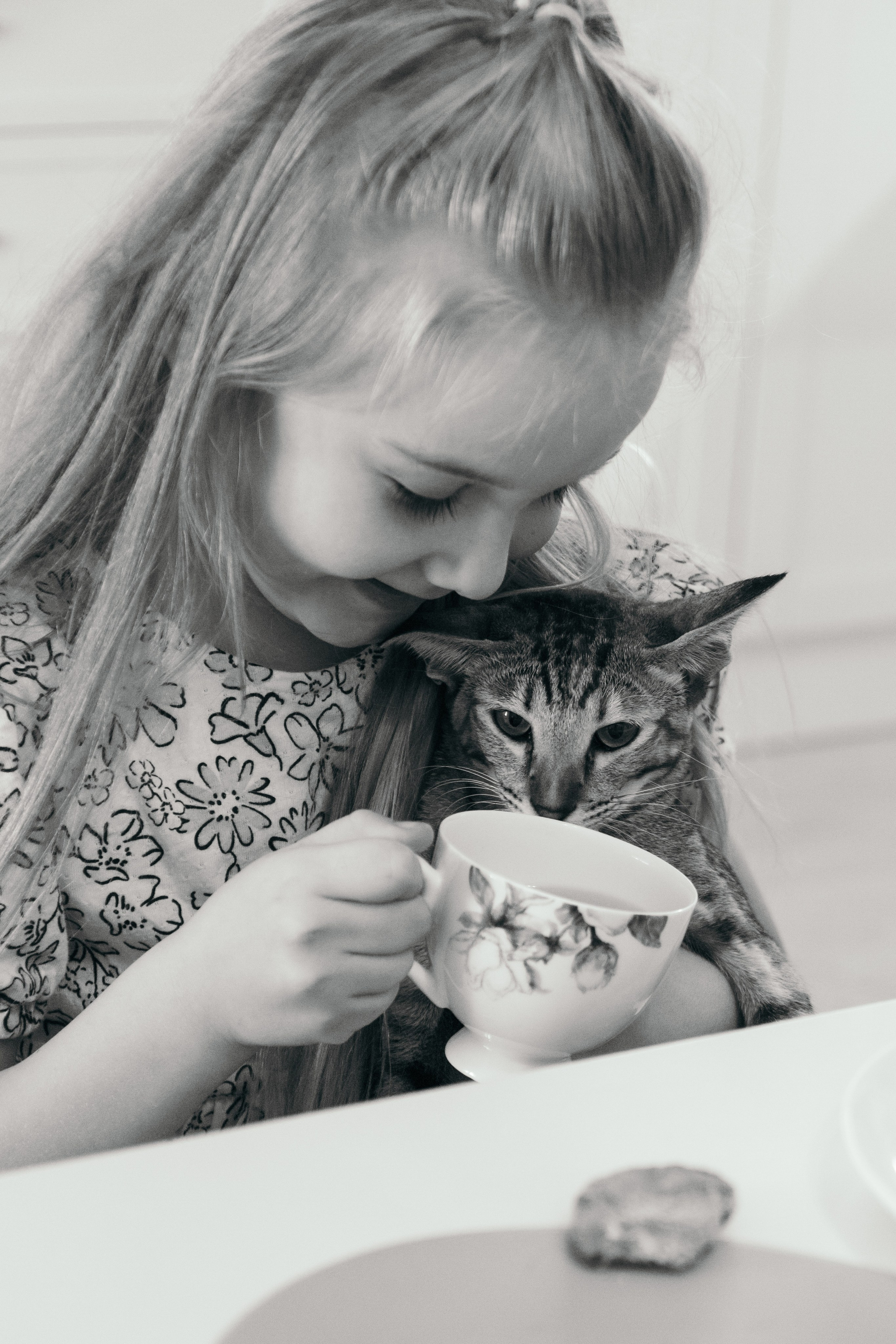 Семья и кошки. Фотограф Елена Балакина (Челябинск)