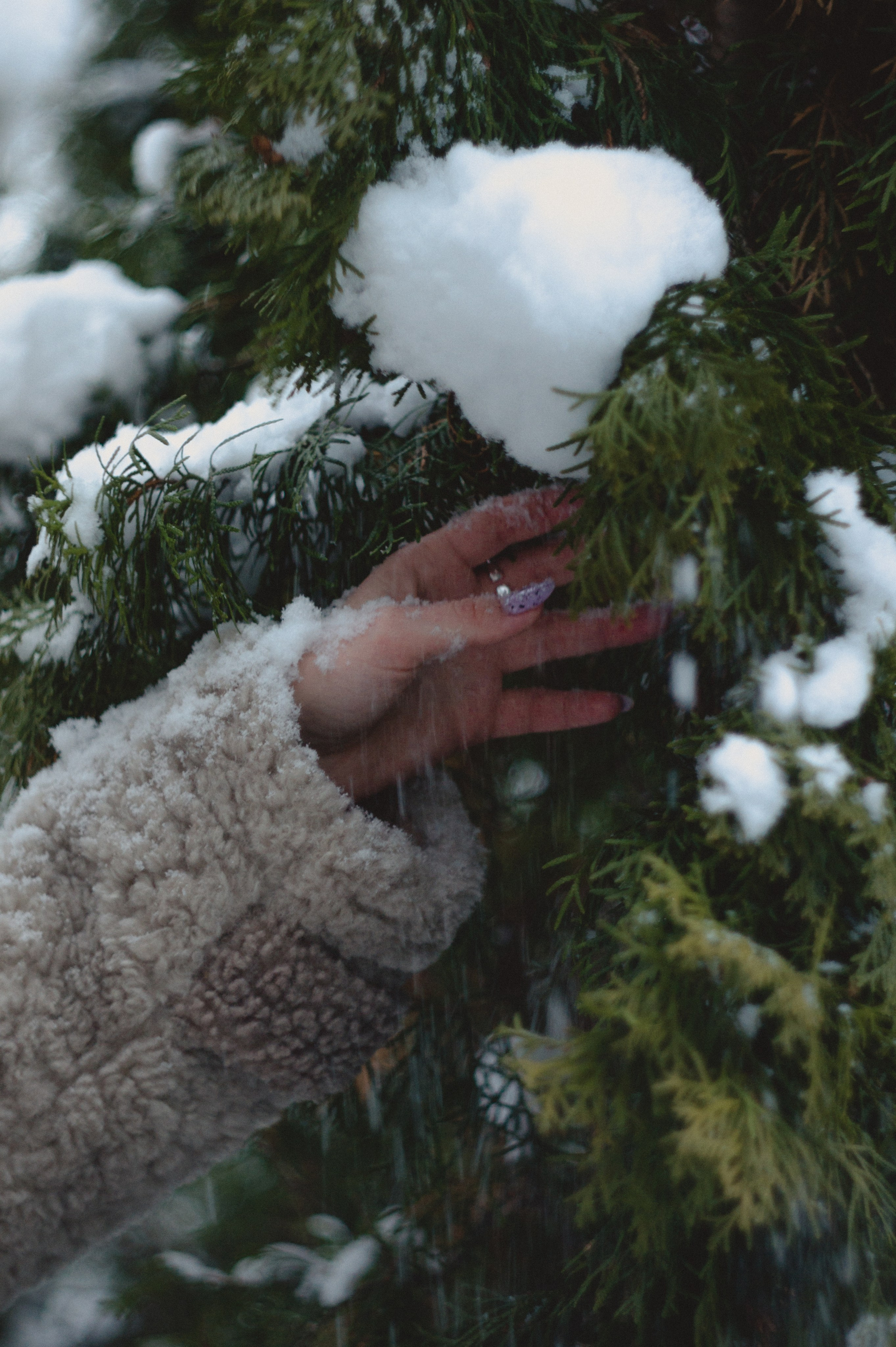 Альбина. Зимняя сказка. Фотограф Людмила Белова