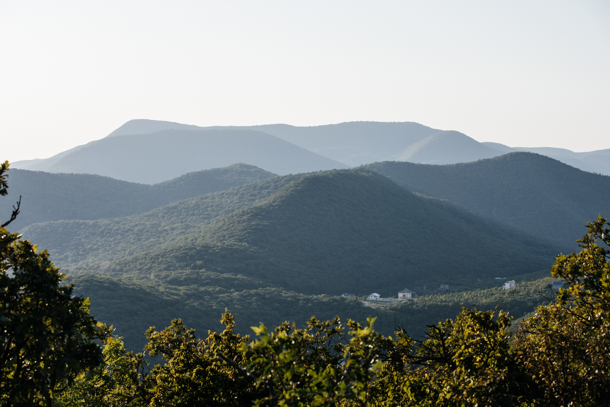 Леша & Юля. Wedding photographers Alex Abramyan