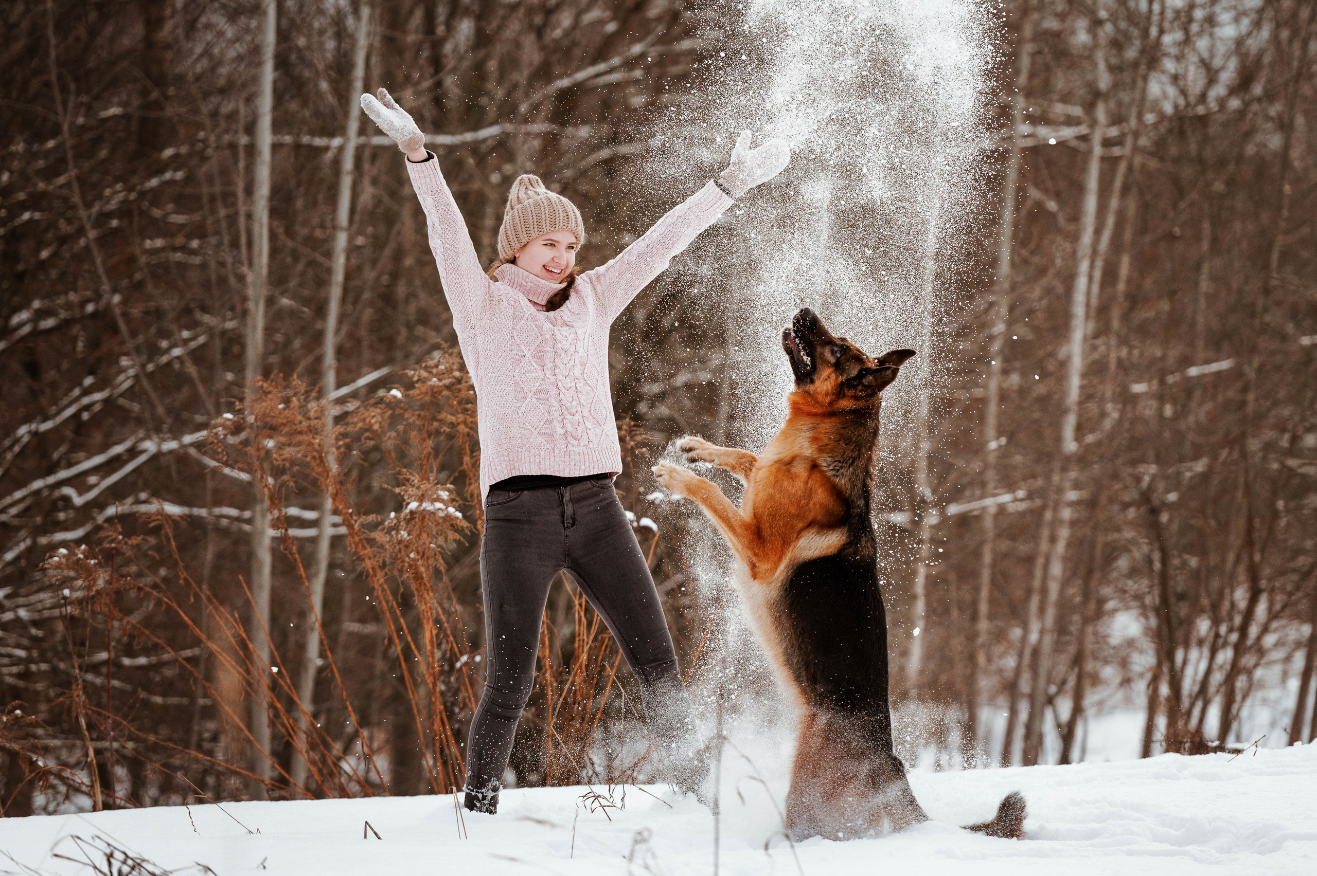 Вольт. Фотограф-анималист
