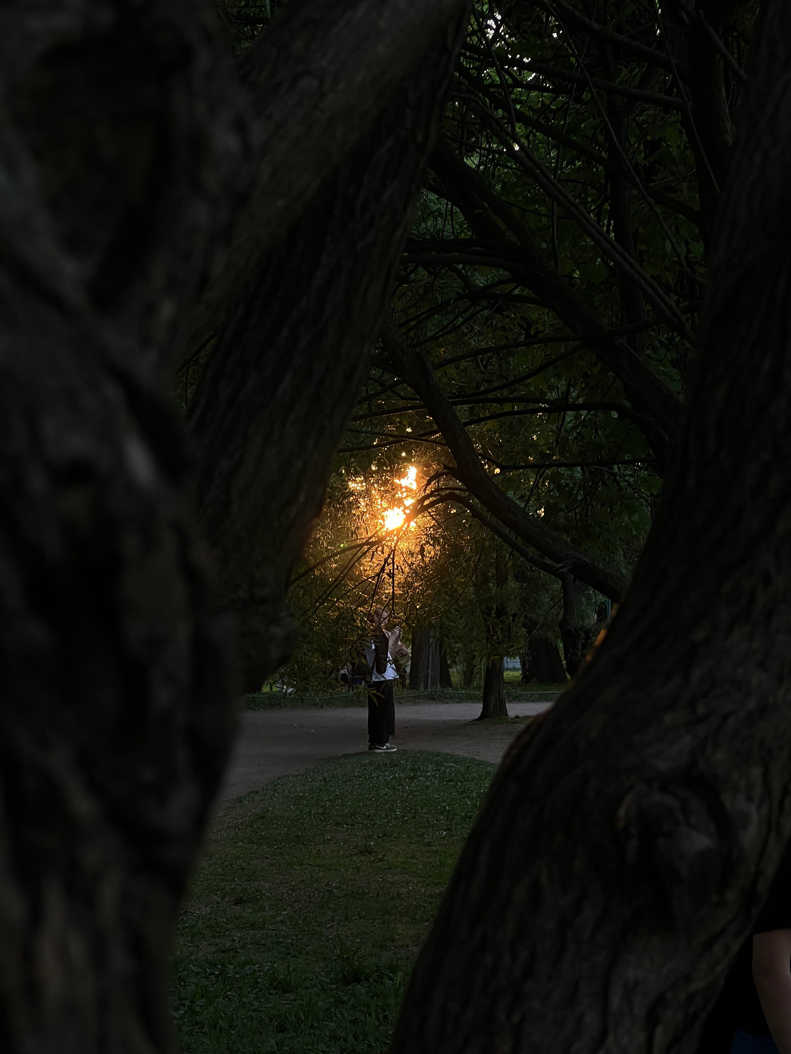 Fragments. Artem Khusainov