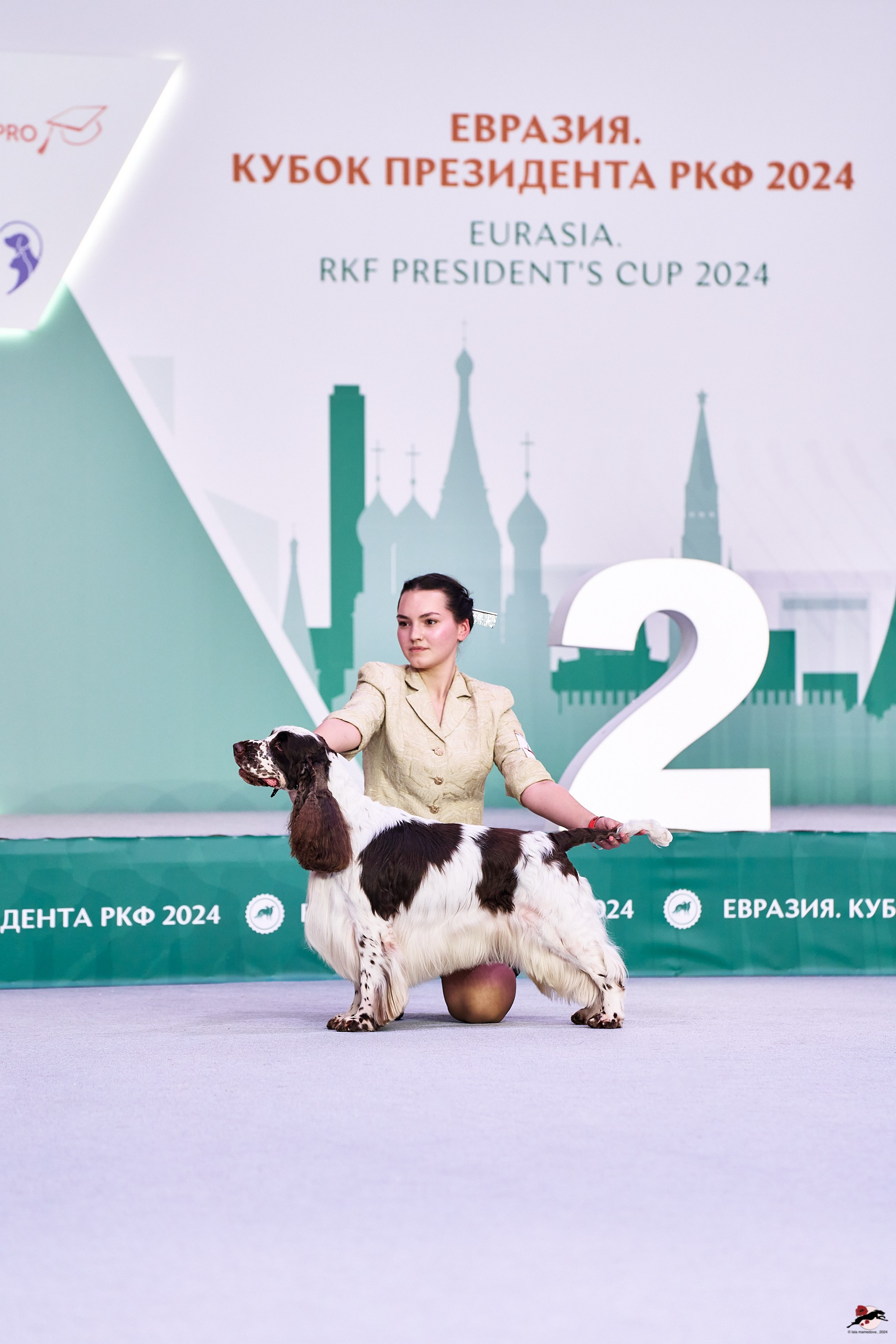 16.11.2024 «ЕВРАЗИЯ. КУБОК ПРЕЗИДЕНТА РКФ 2024»